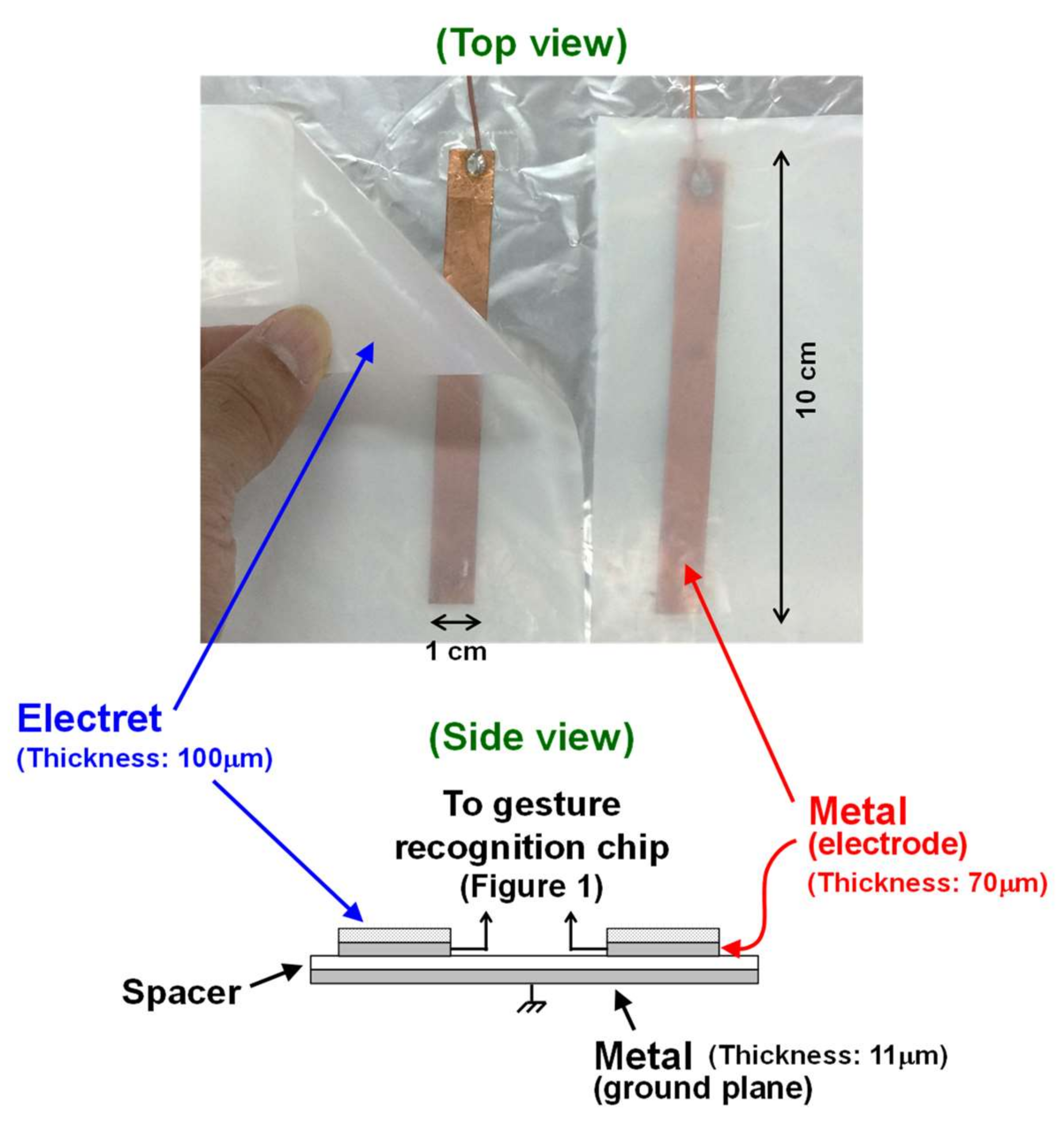 Sensors 21 08268 g002