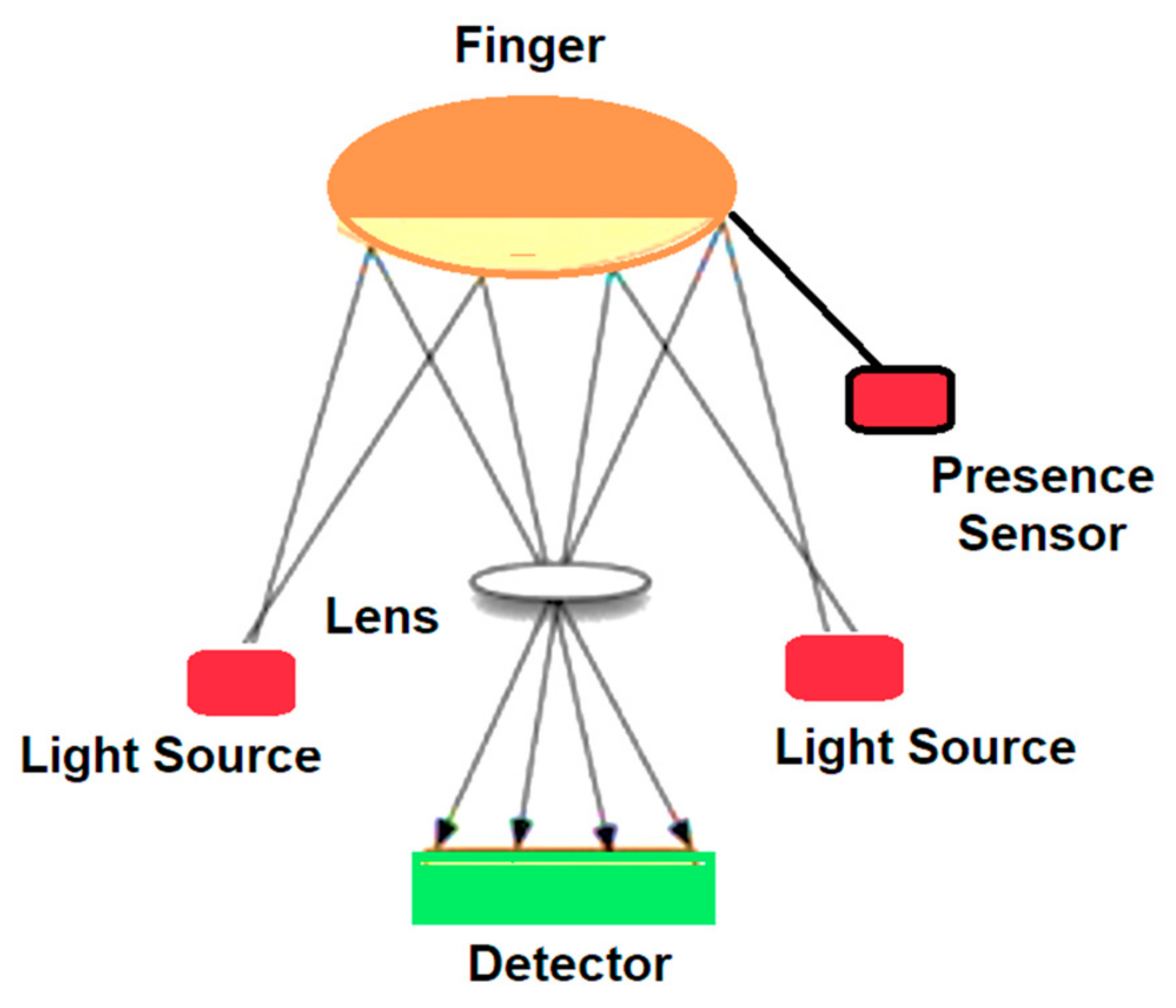 Sensors 21 08272 g008