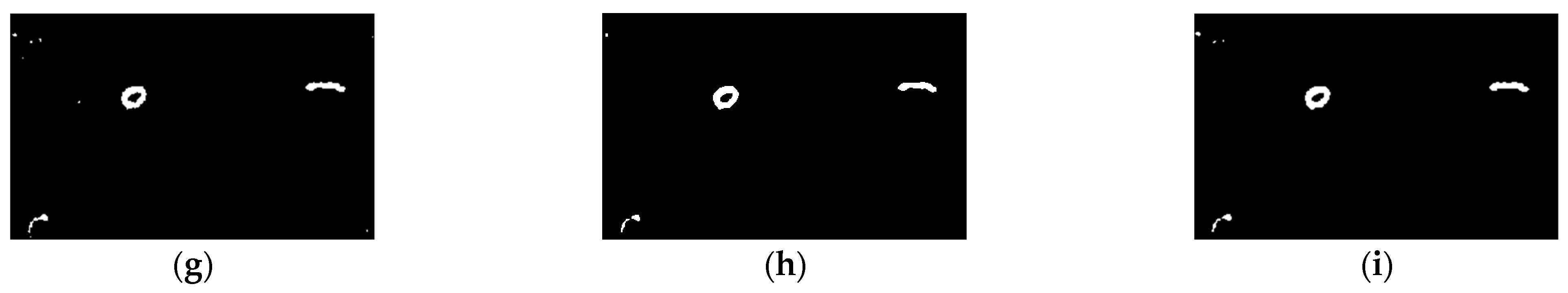 Sensors 21 08290 g005b