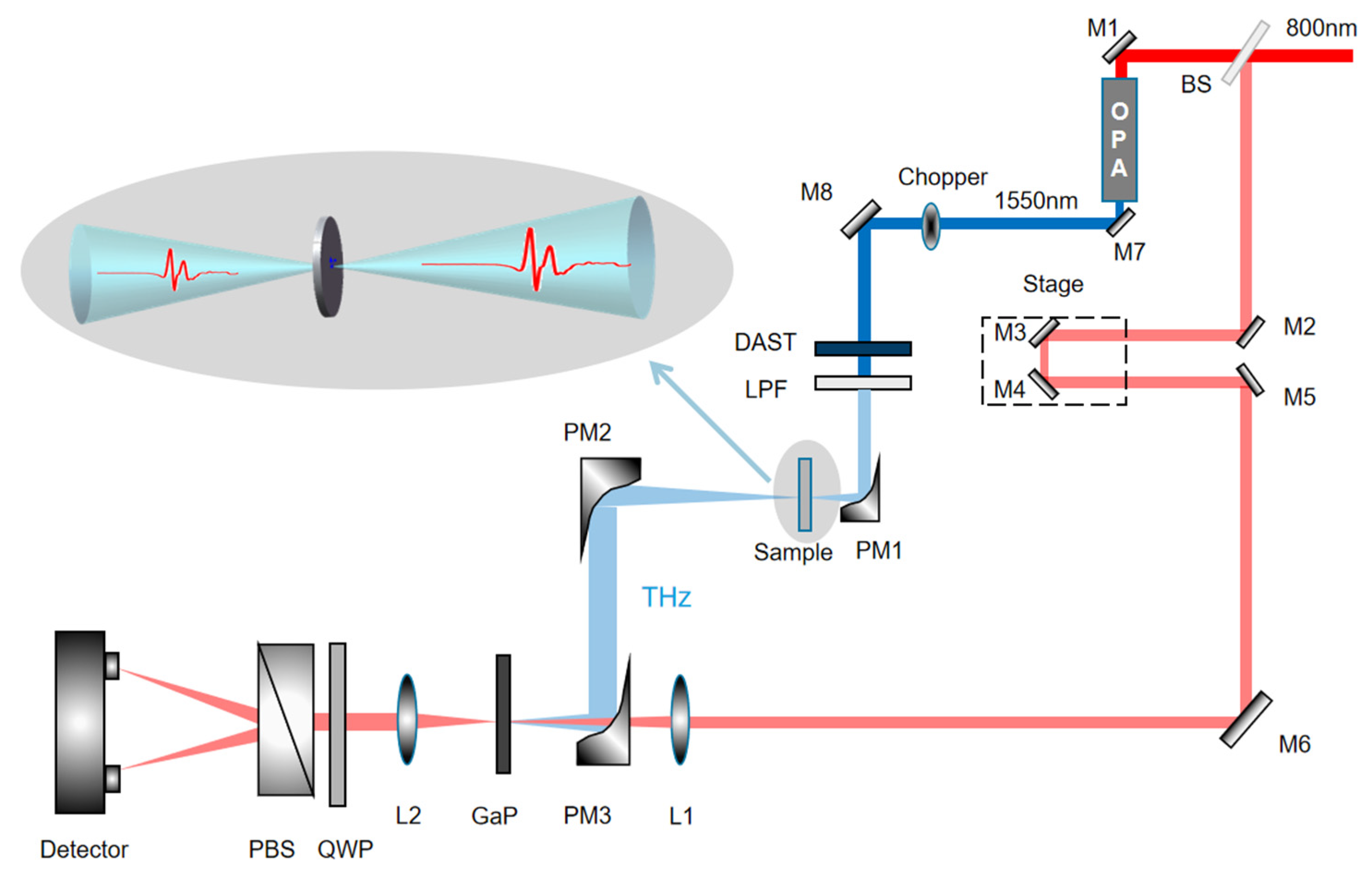Sensors 21 08292 g001