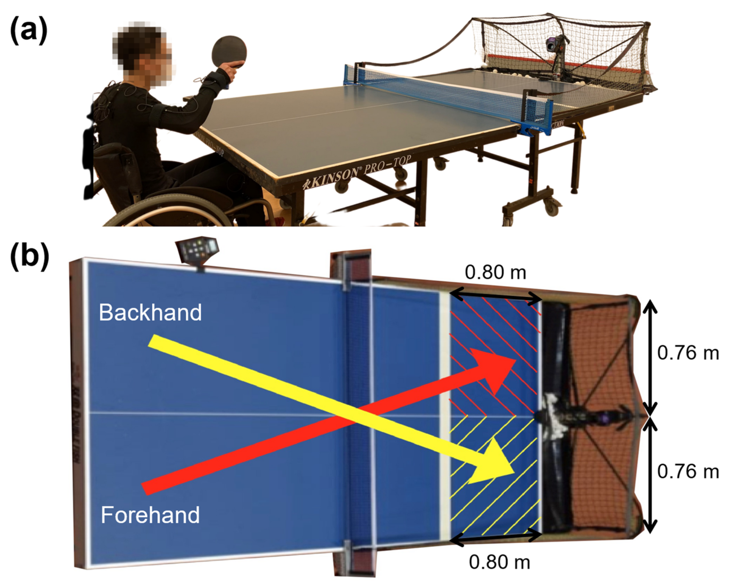 Sensors 21 08303 g002