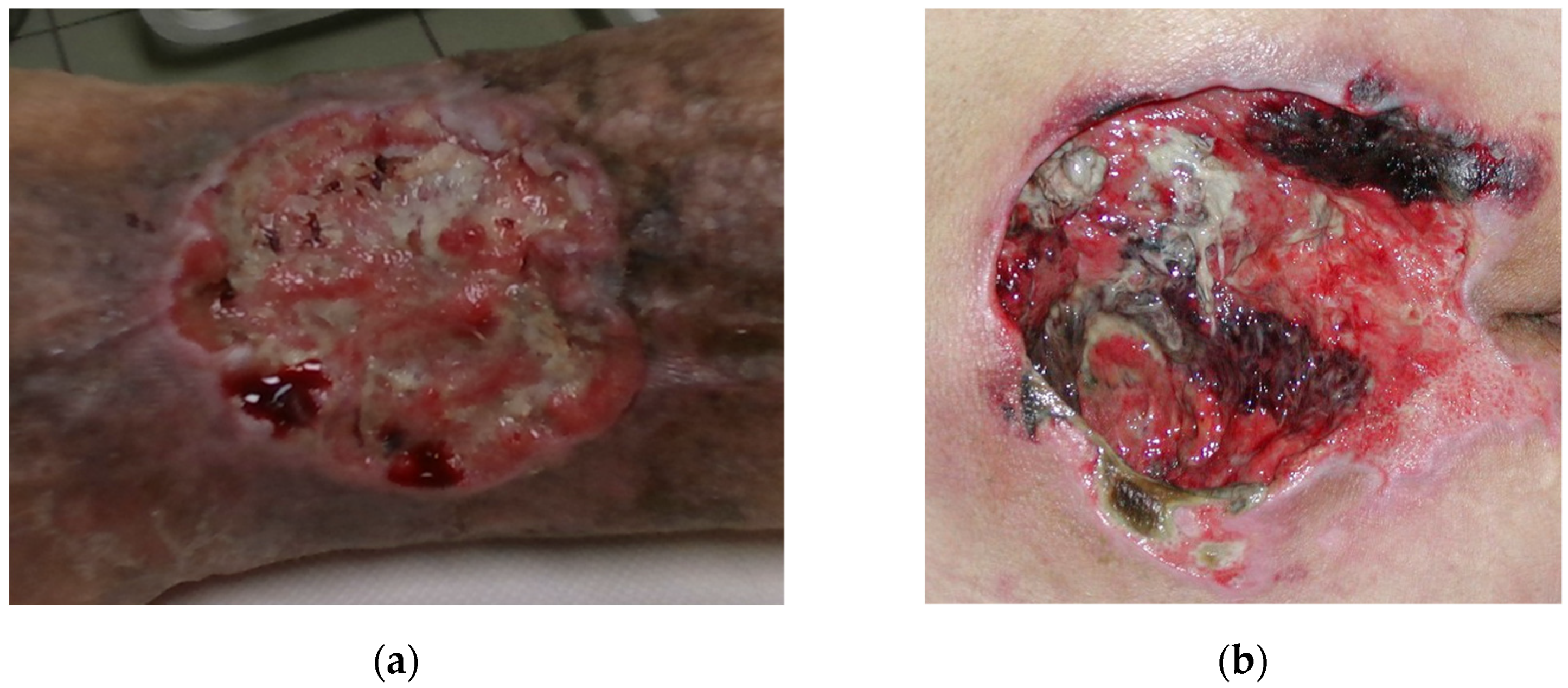 Sensors 21 08308 g001