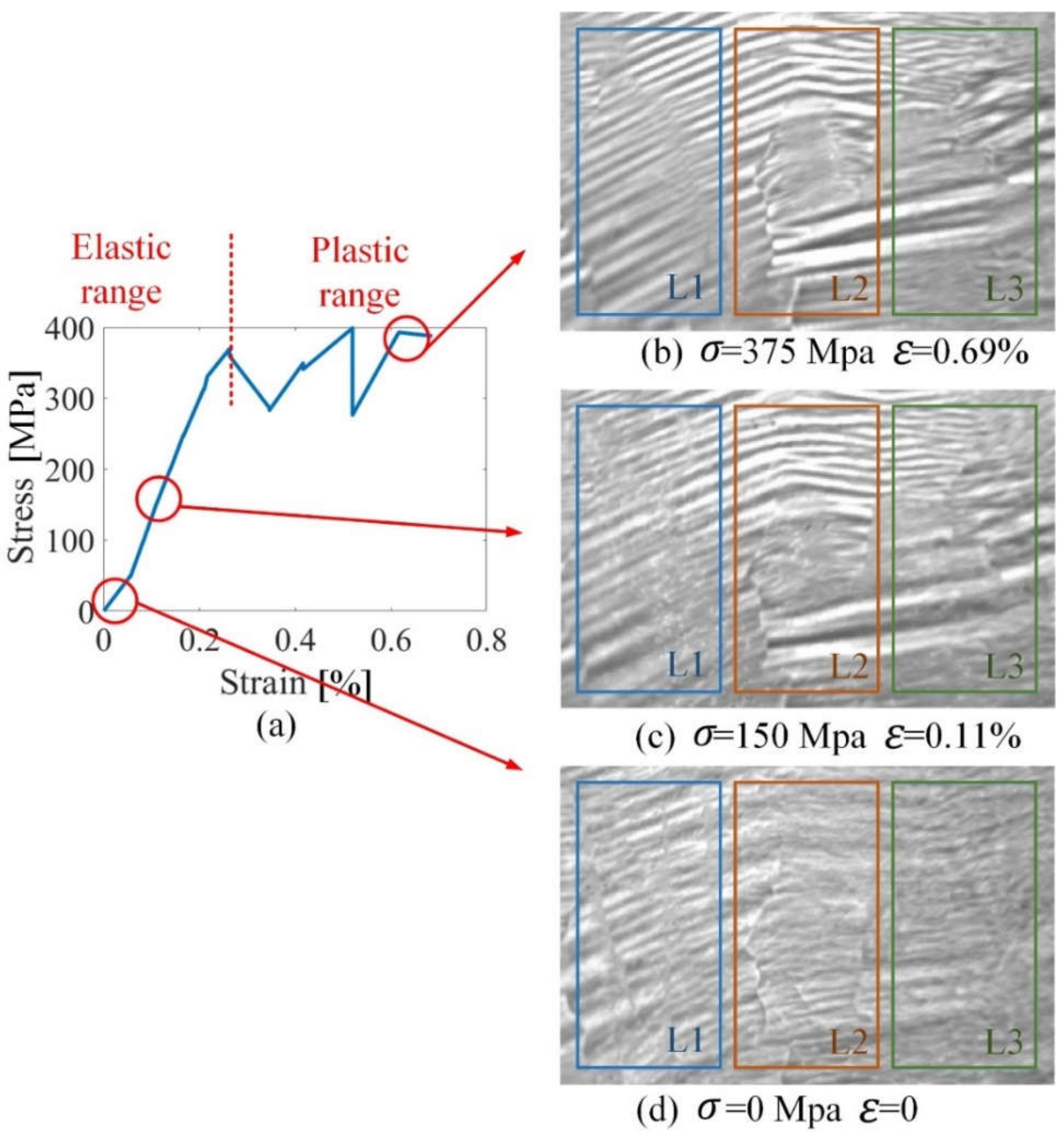 Sensors 21 08310 g008