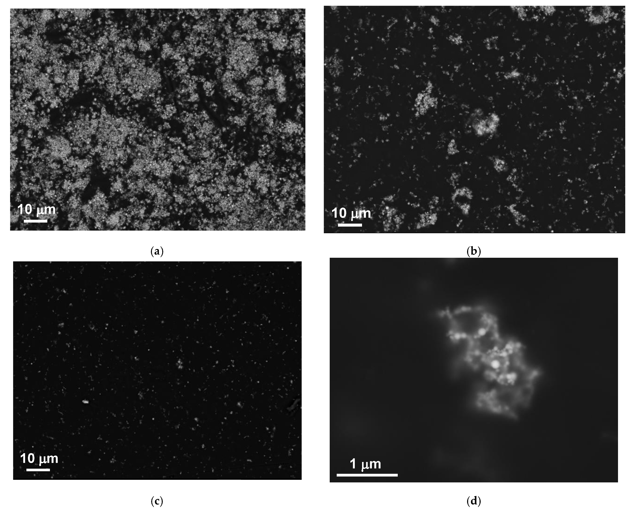 Sensors 21 08311 g005