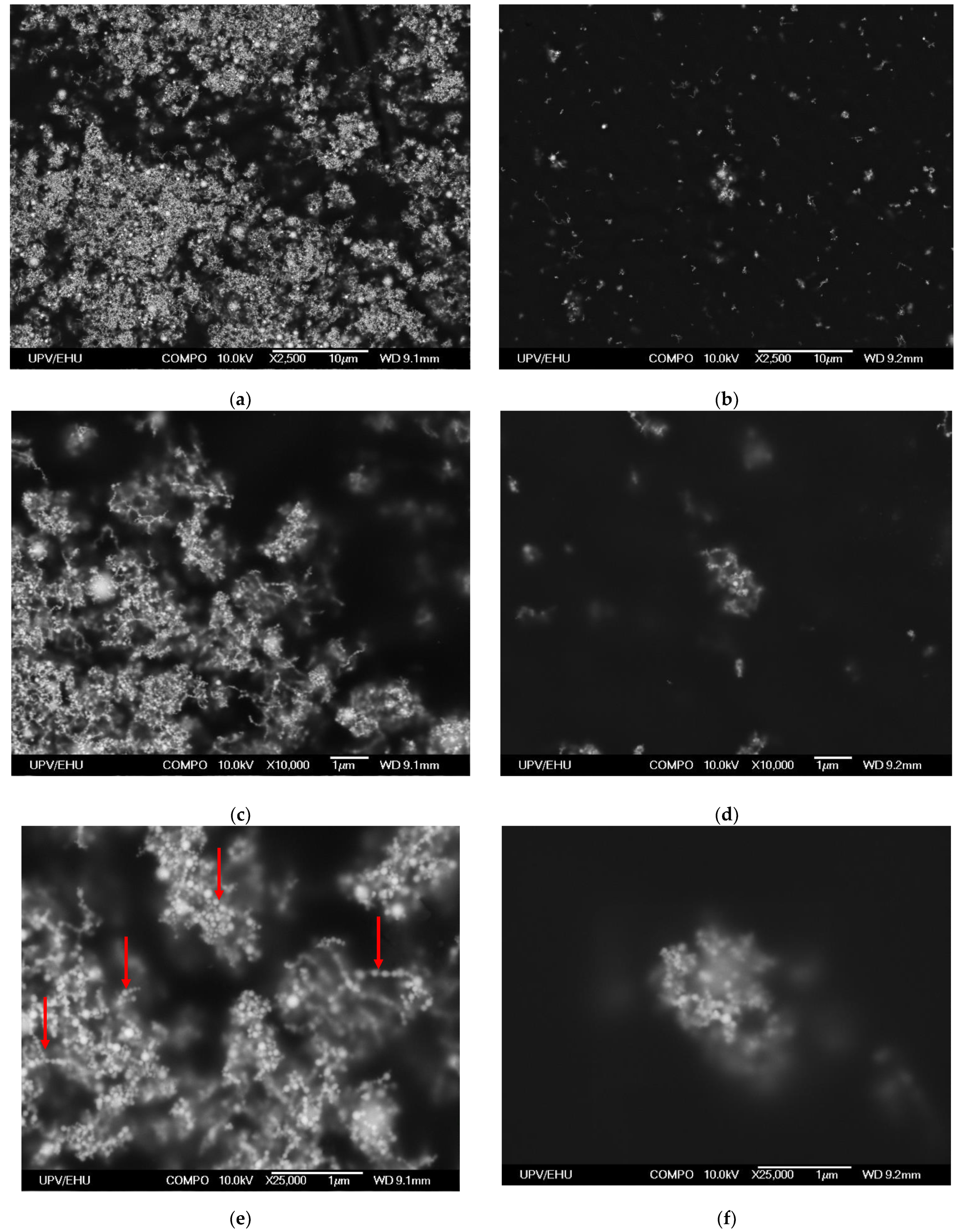 Sensors 21 08311 g006