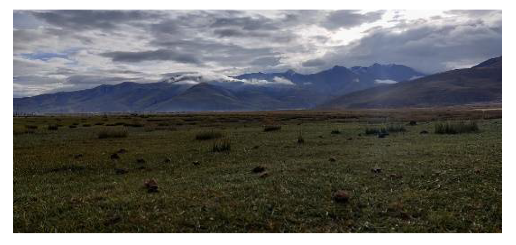 Sensors 21 08315 g006