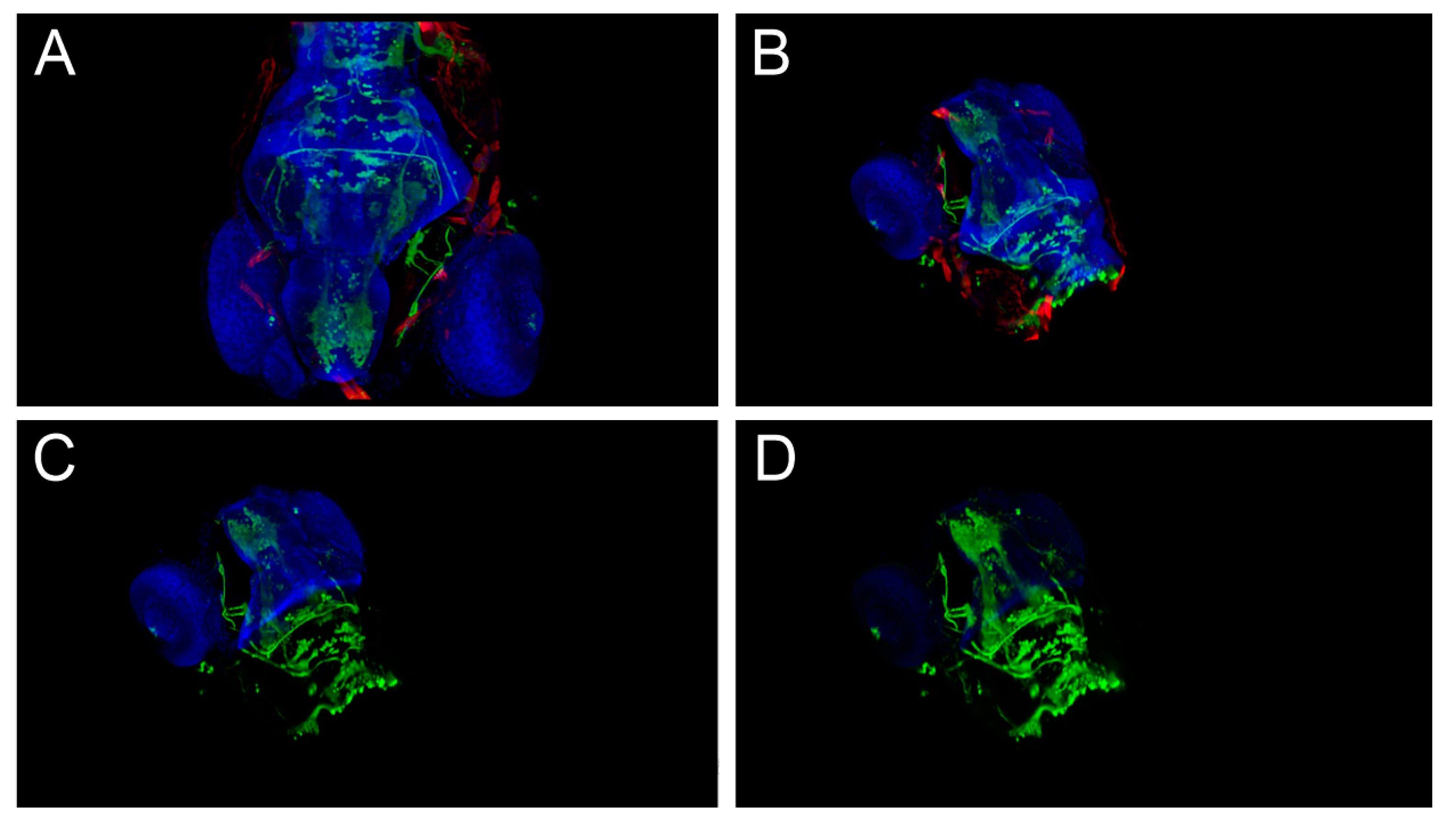 Sensors 21 08329 g012