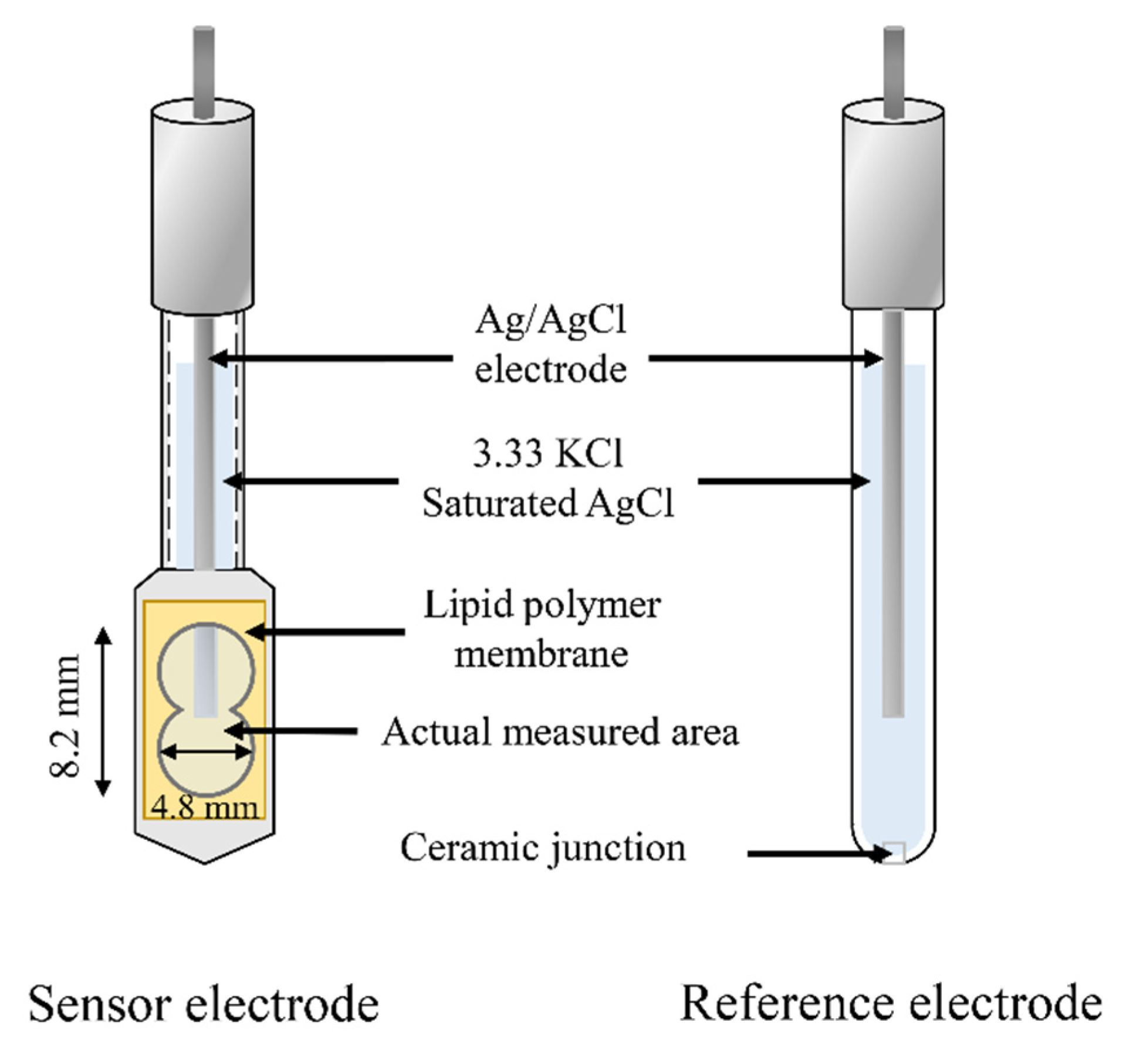 Sensors 21 08343 g002