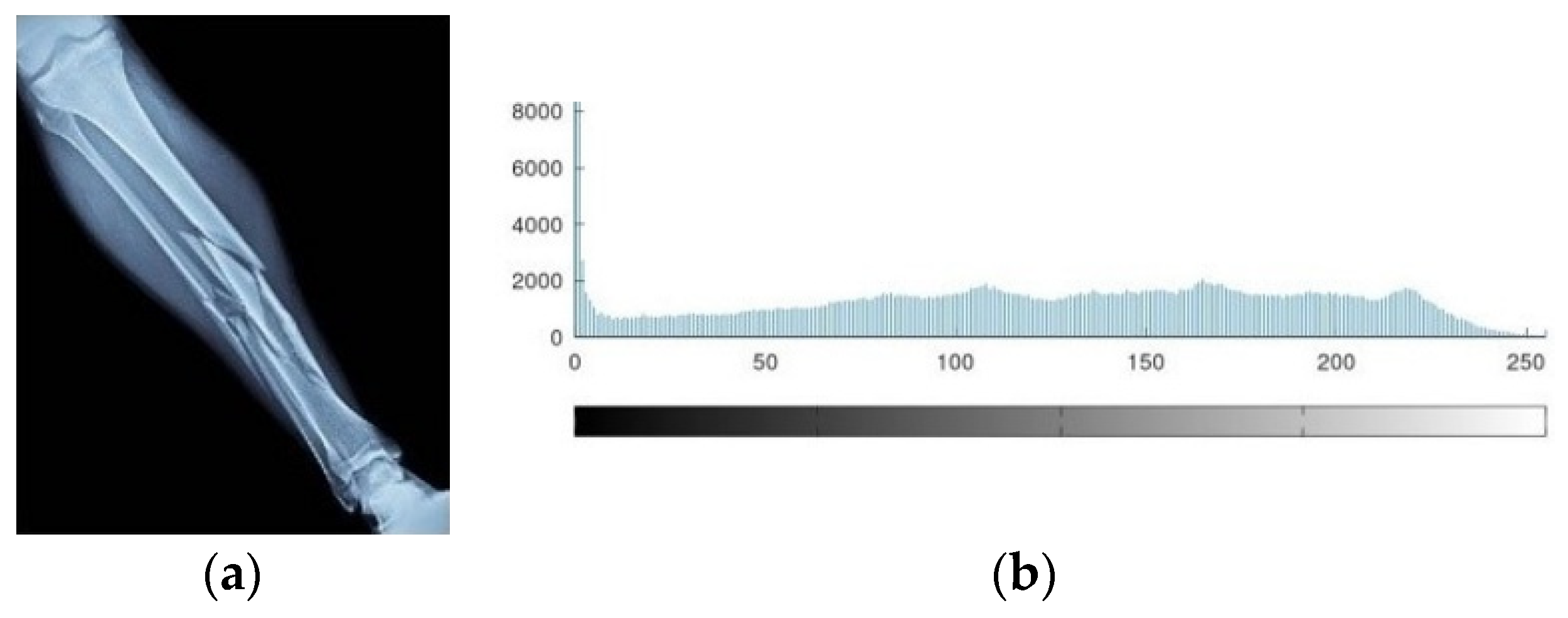 Sensors 21 08347 g008