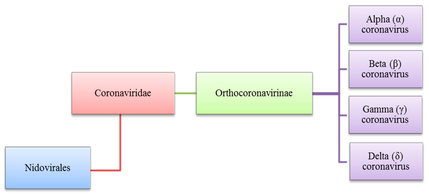 Sensors 21 08362 g001