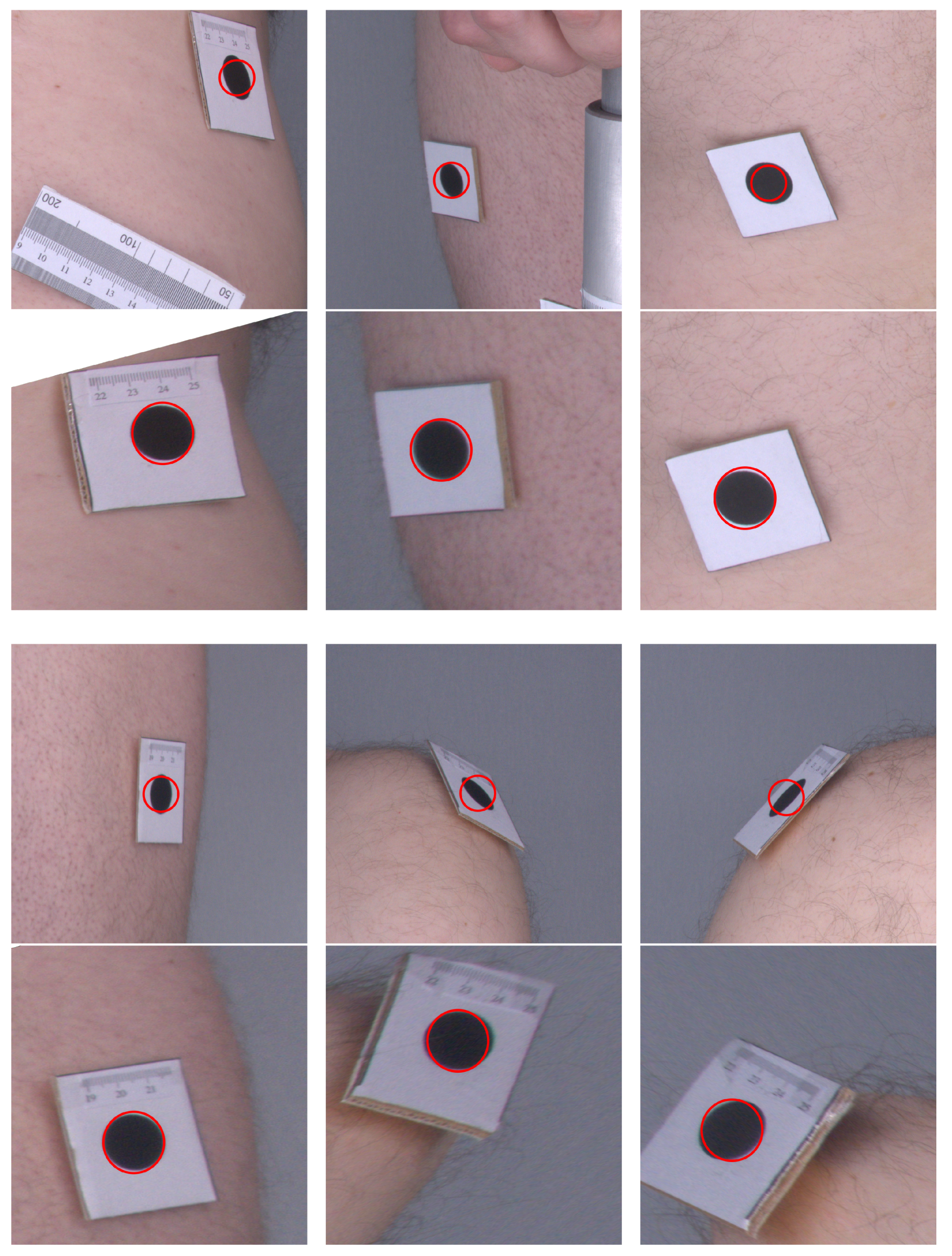 Sensors 21 08367 g006