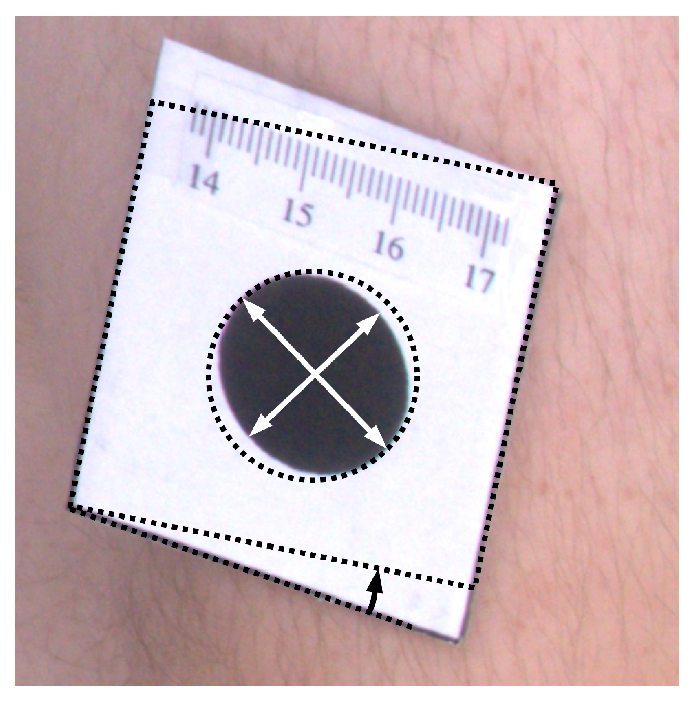 Sensors 21 08367 g007