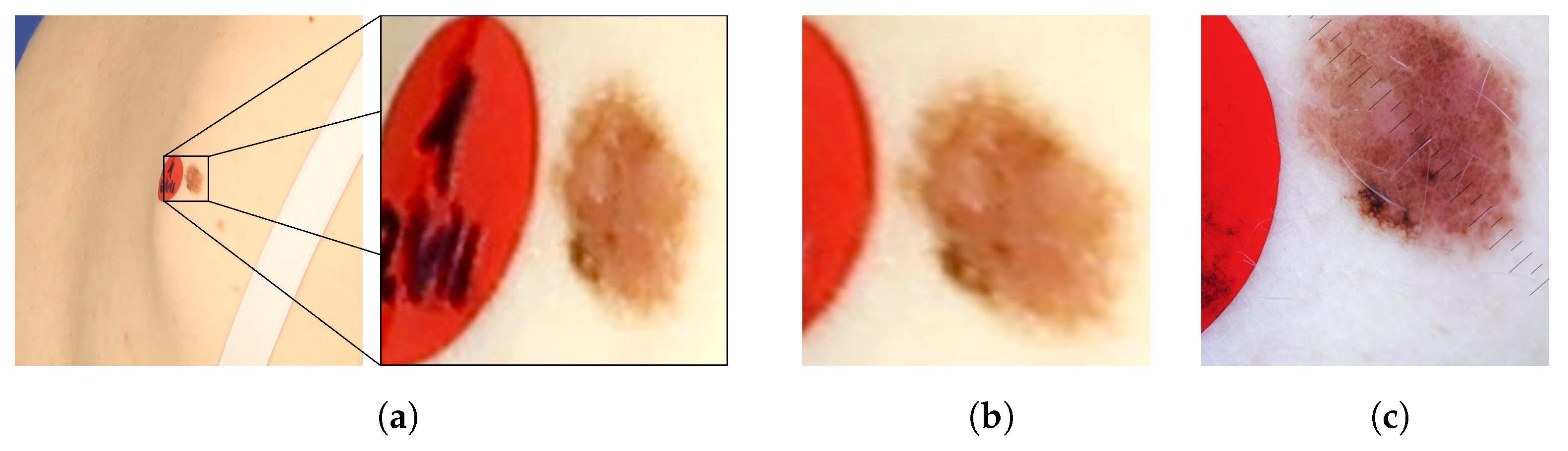 Sensors 21 08367 g008