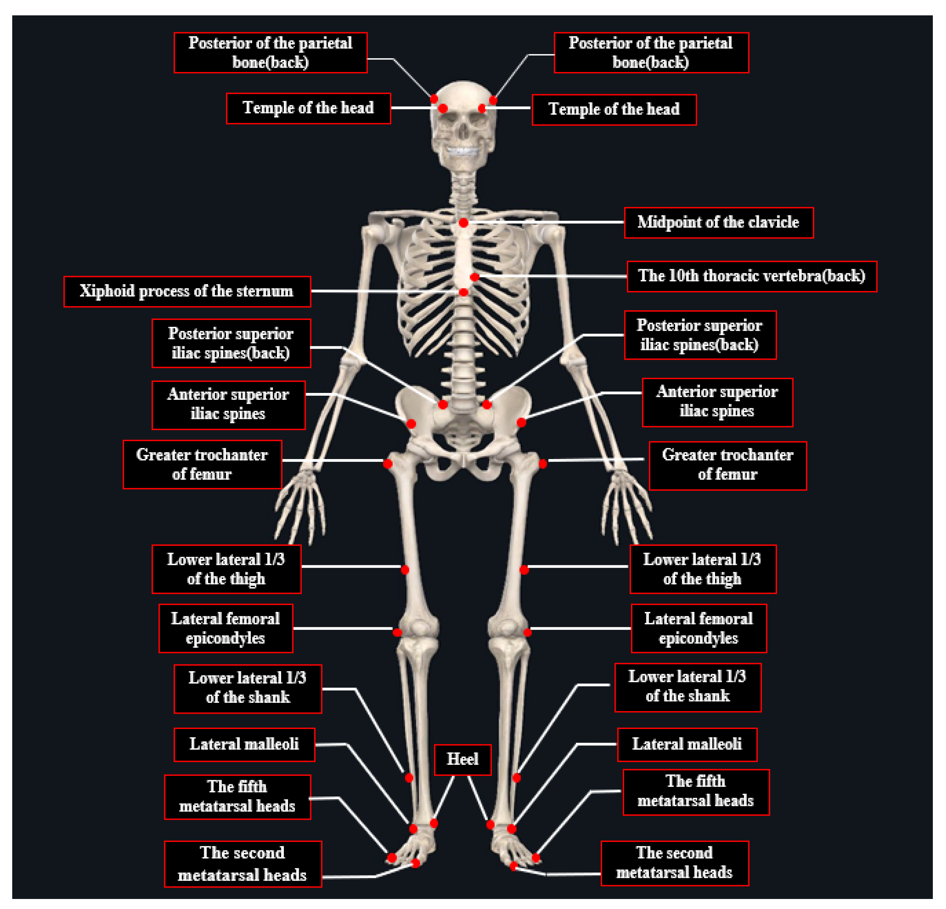 Sensors 21 08376 g001