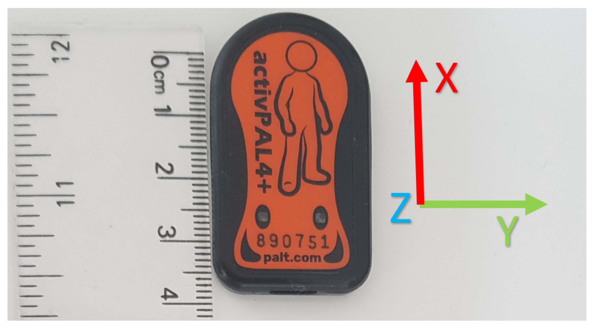 Sensors 21 08377 g001
