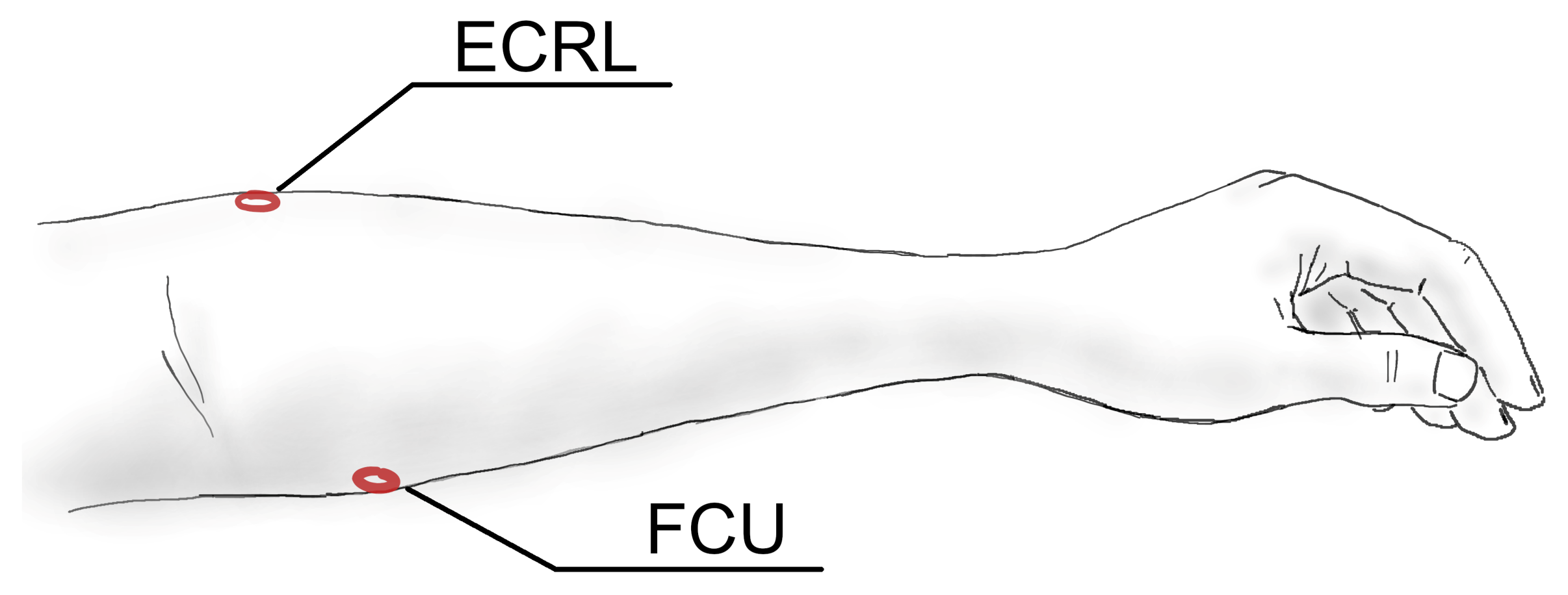 Sensors 21 08380 g003 Sensors 21 08380 g003
