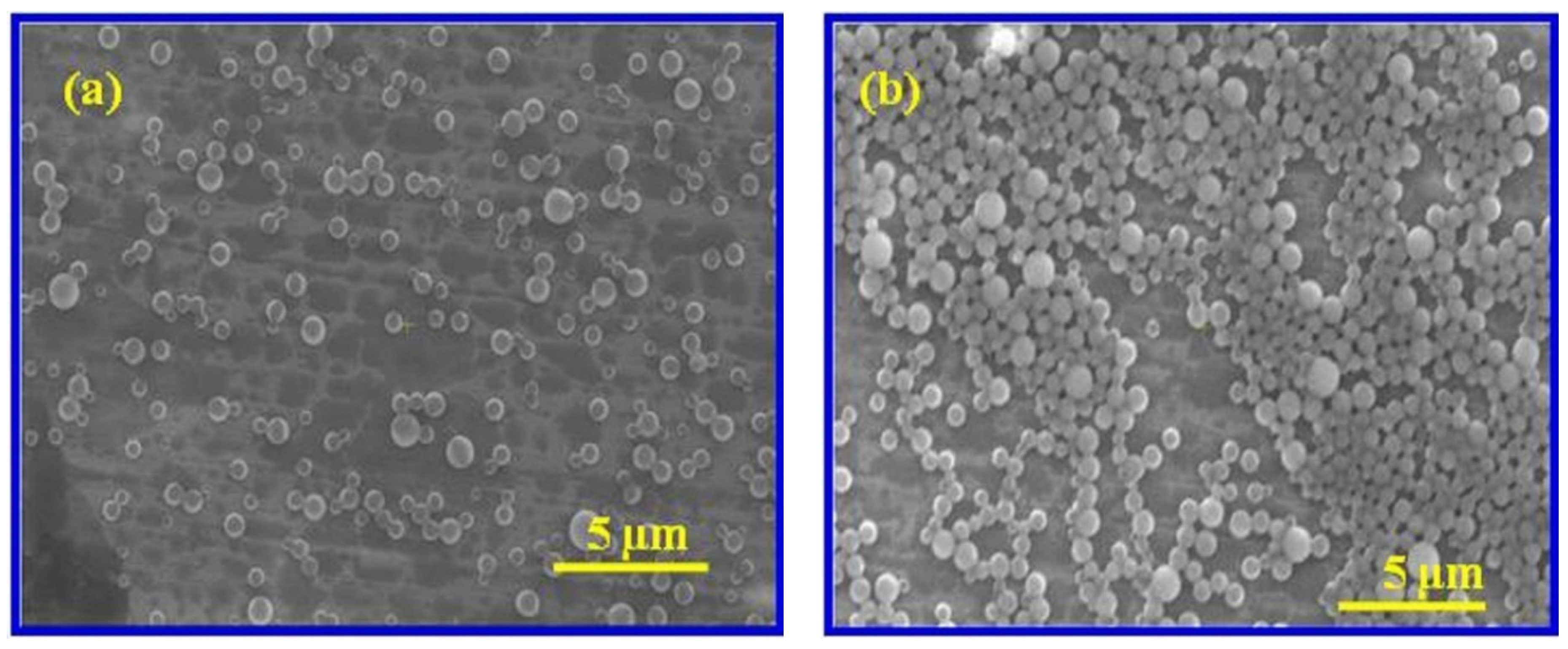 Sensors 21 08385 g003 Sensors 21 08385 g003