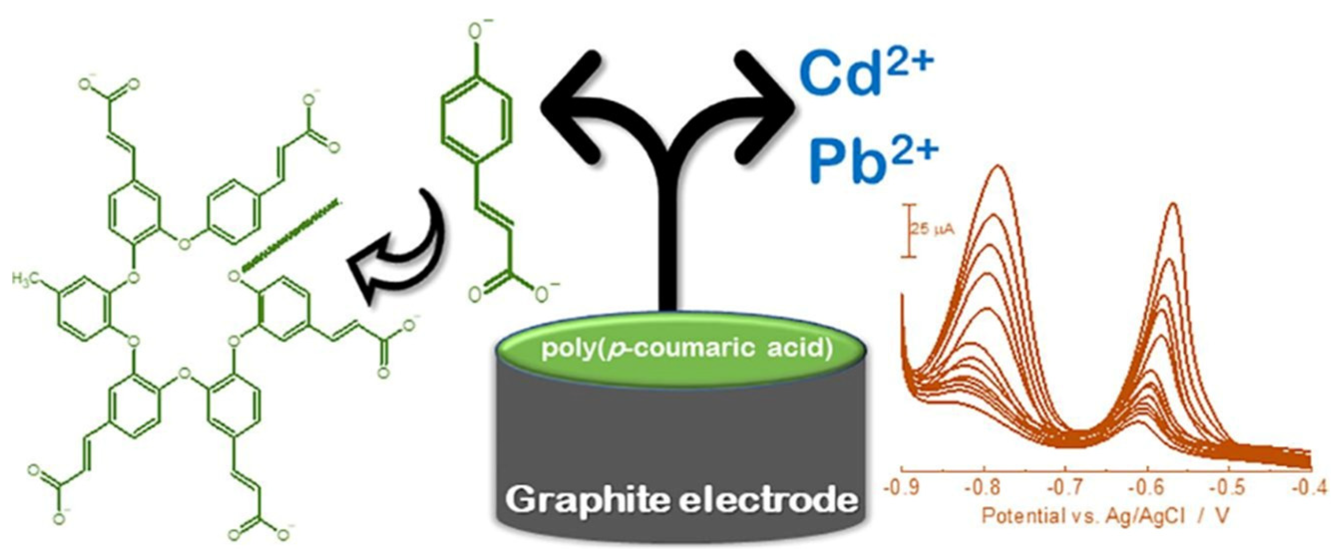 Sensors 21 08385 g007 Sensors 21 08385 g007