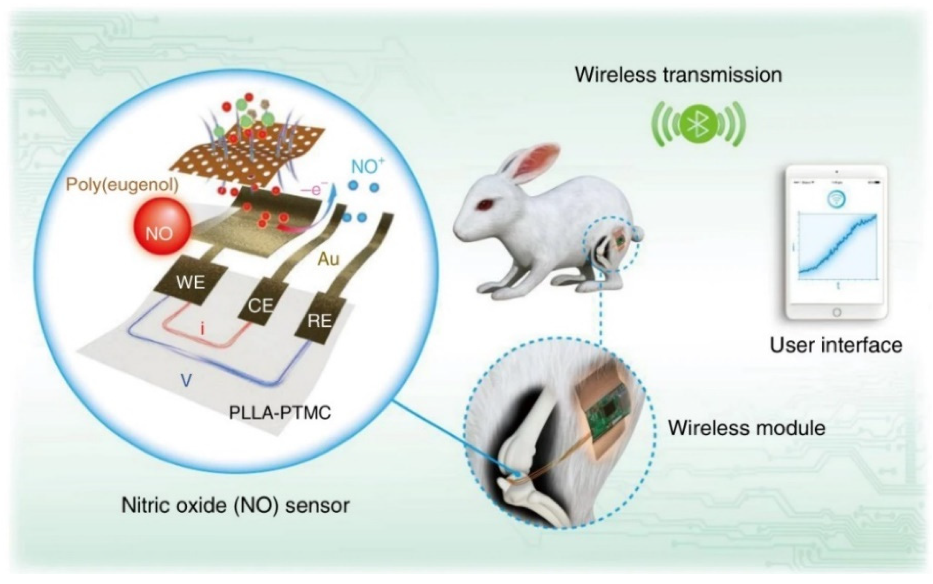 Sensors 21 08385 g008 Sensors 21 08385 g008