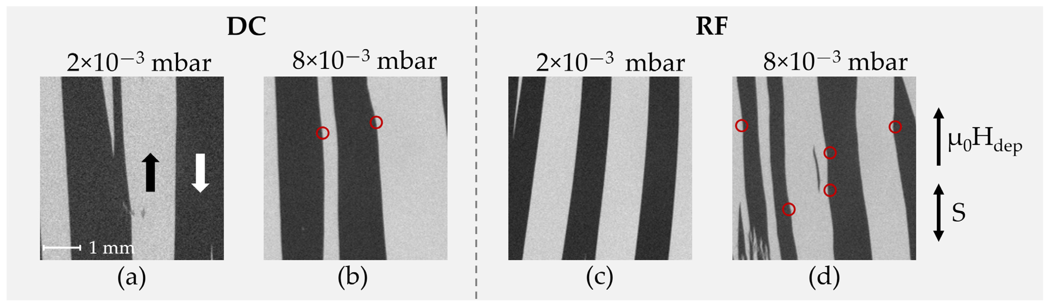 Sensors 21 08386 g007