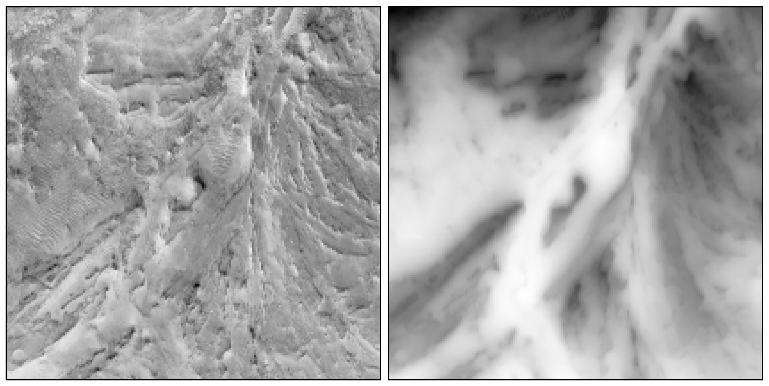 Sensors 21 08418 g006