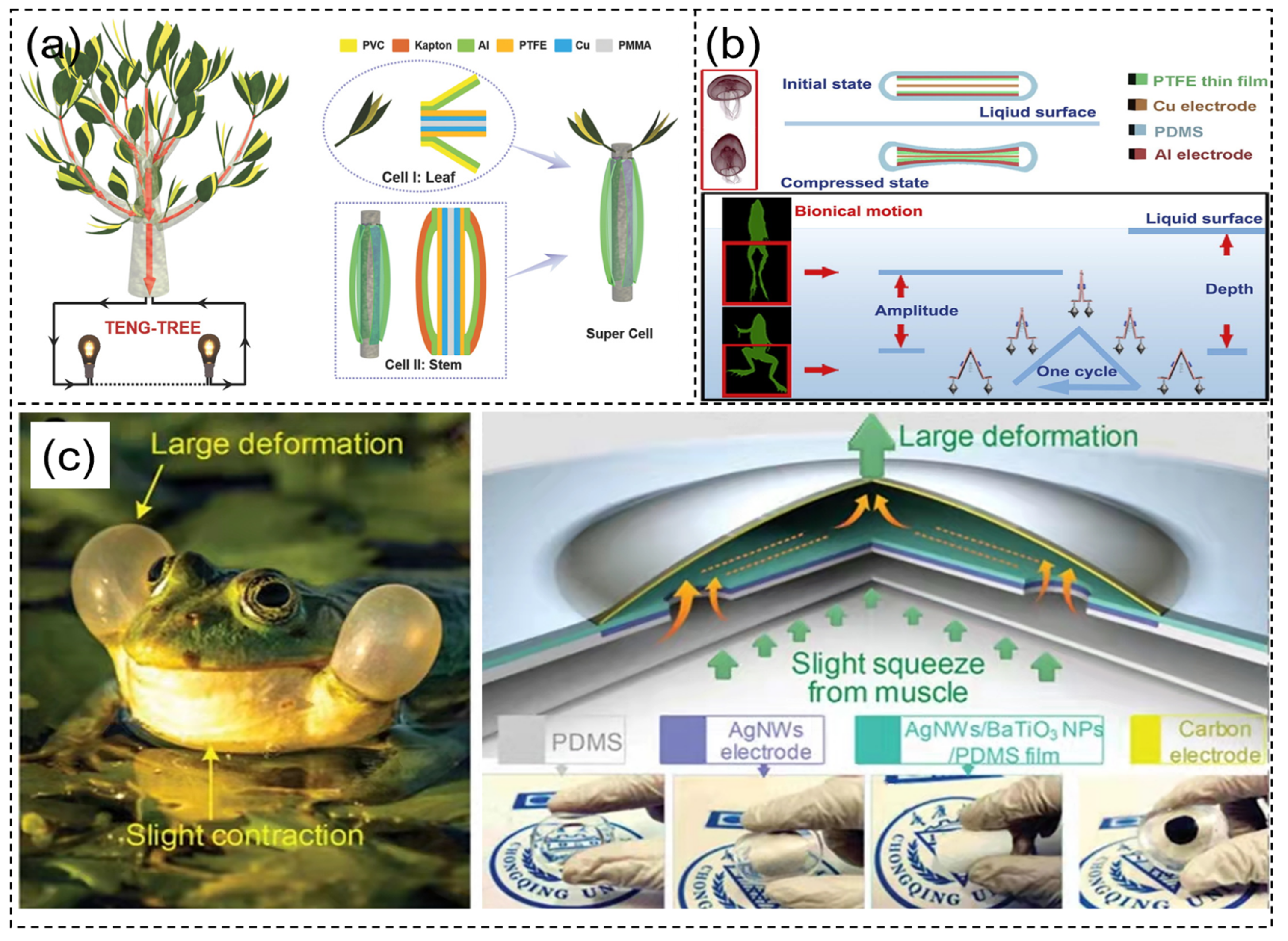 Sensors 21 08422 g007
