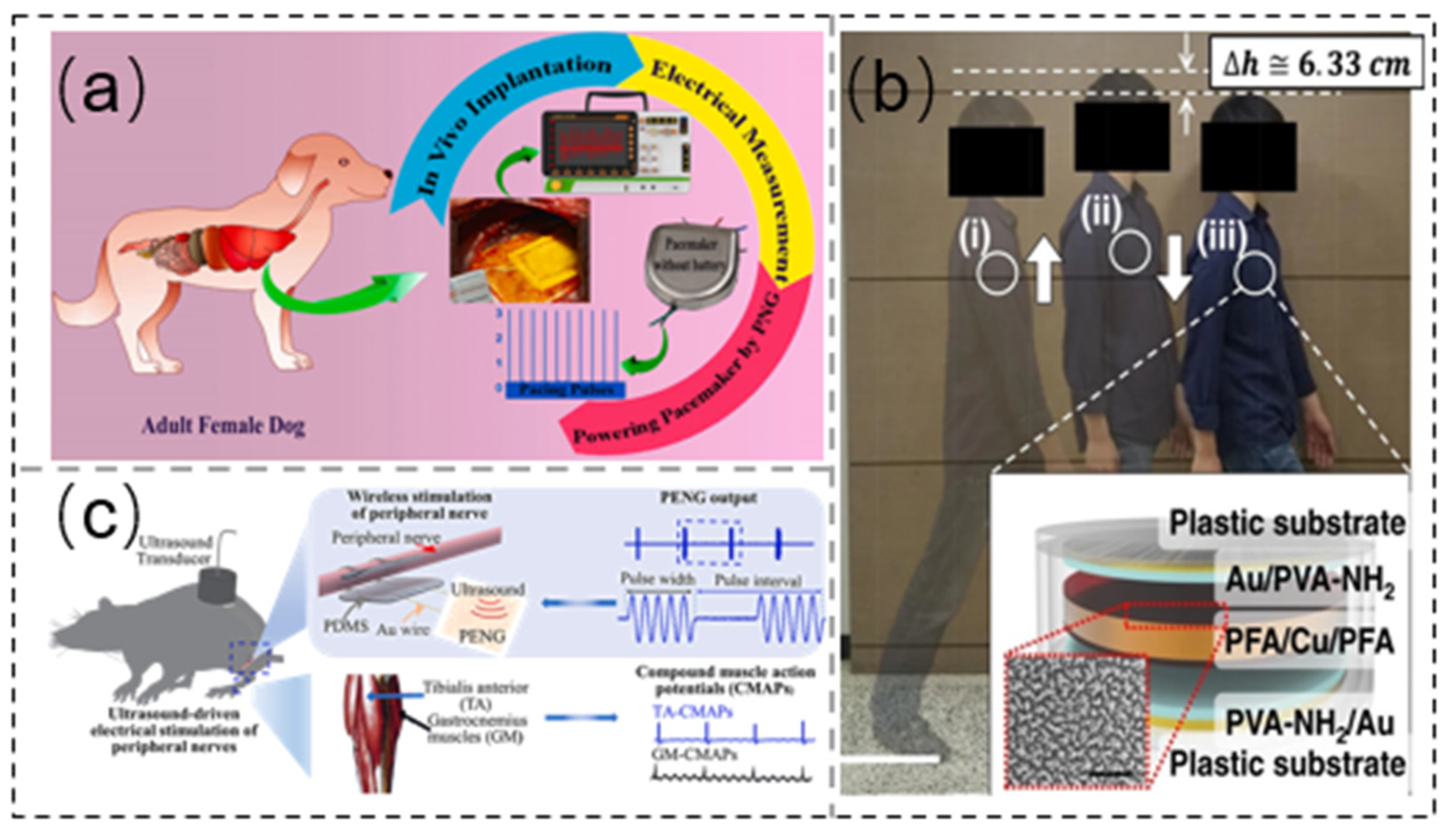 Sensors 21 08422 g013