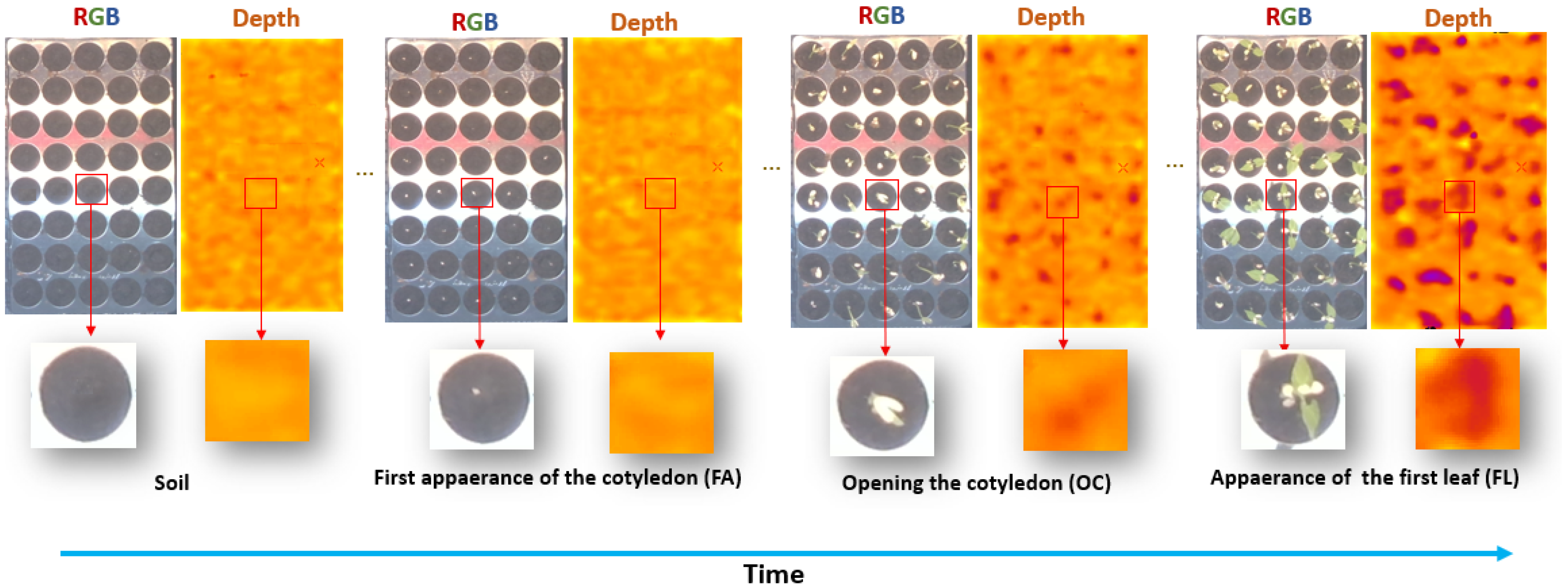 Sensors 21 08425 g001