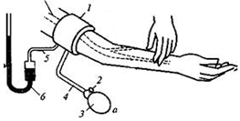 Sensors 21 08438 i003