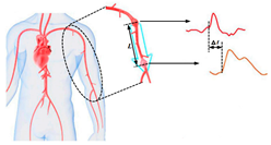 Sensors 21 08438 i007