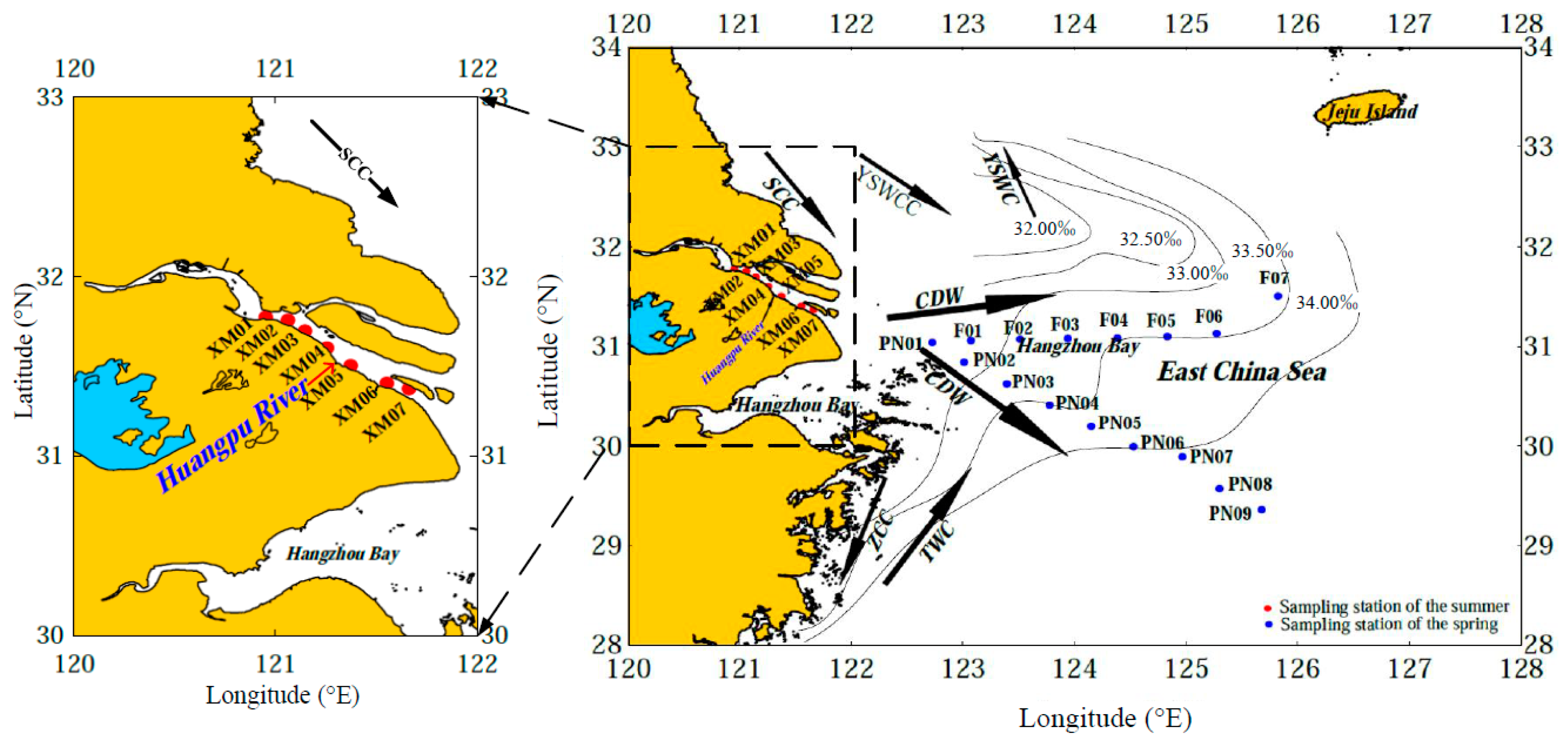 Sensors 21 08450 g001 Sensors 21 08450 g001