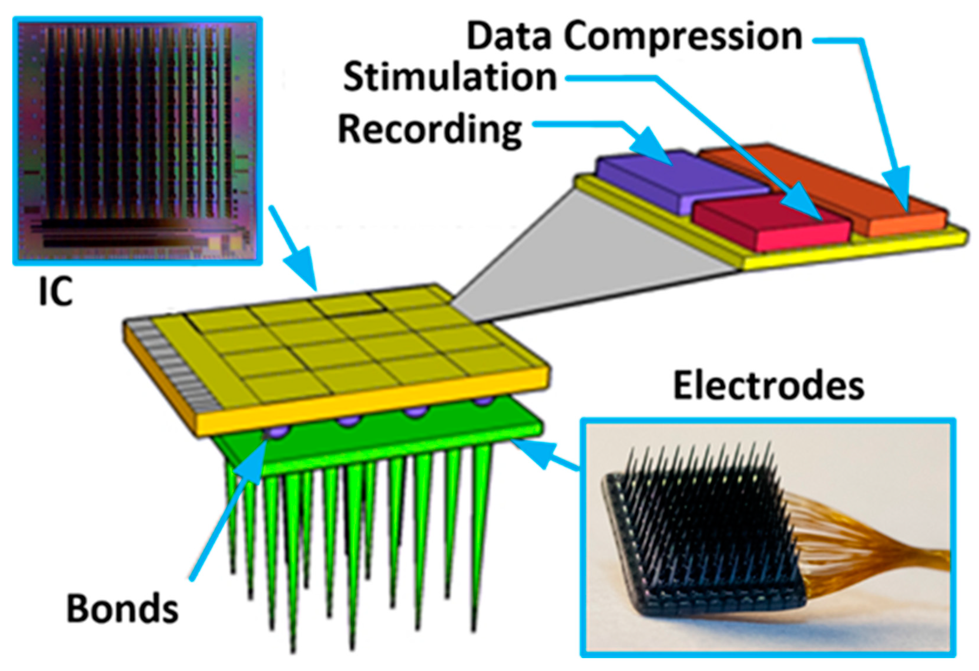 Sensors 21 08482 g001 Sensors 21 08482 g001