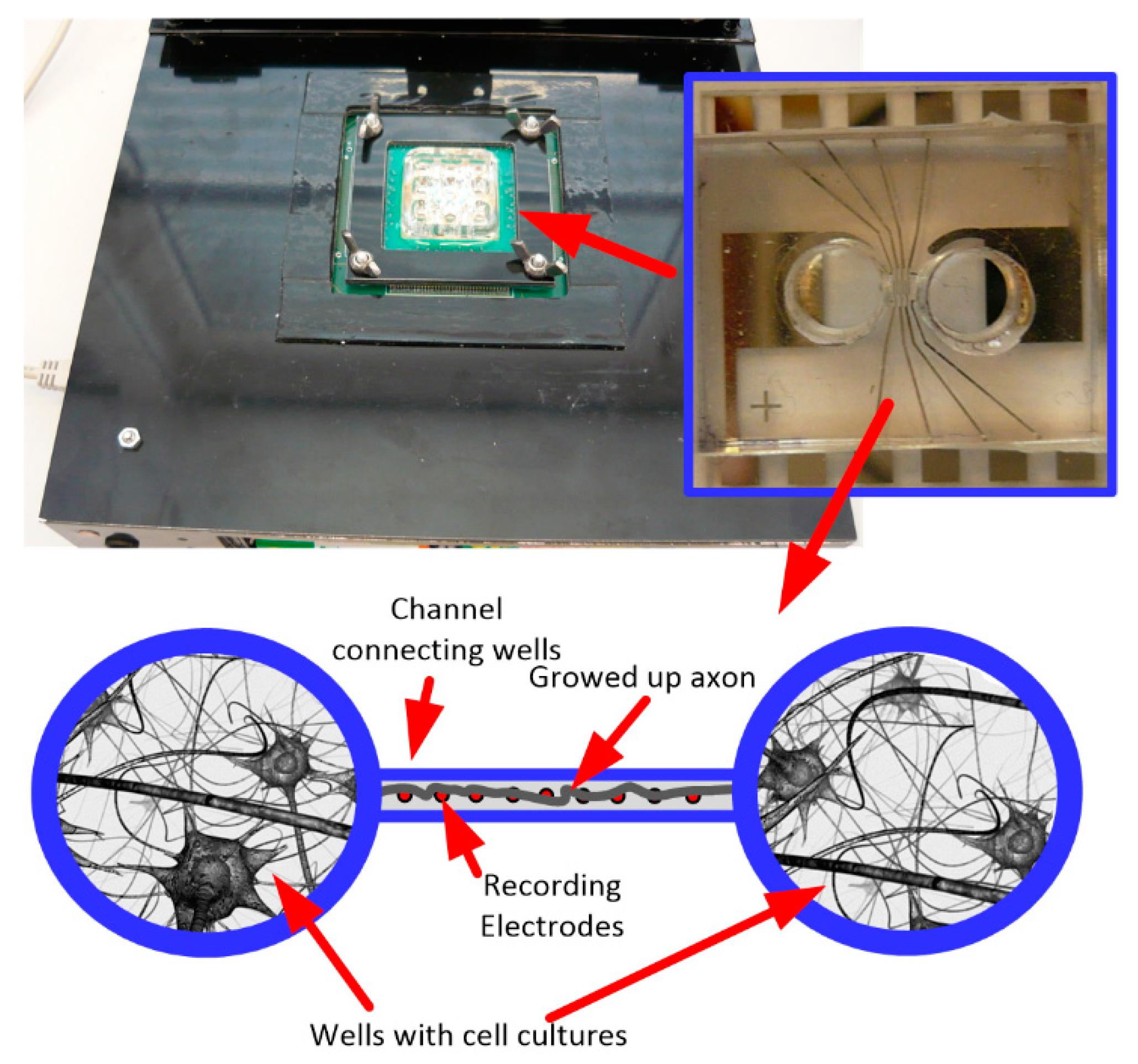 Sensors 21 08482 g014 Sensors 21 08482 g014