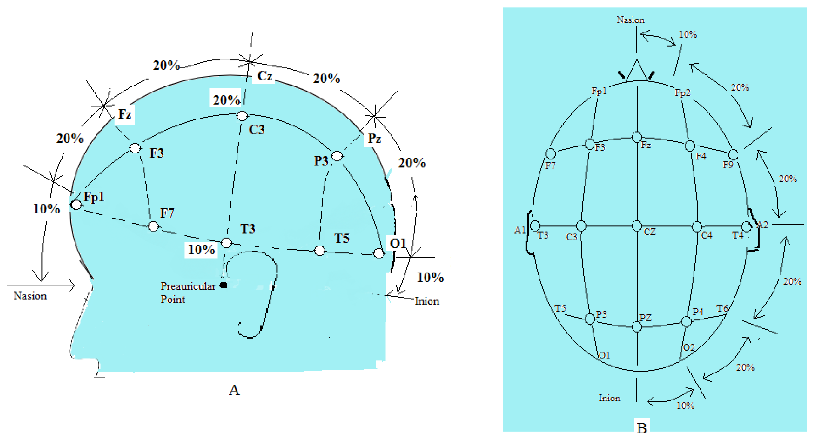 Sensors 21 08485 g001