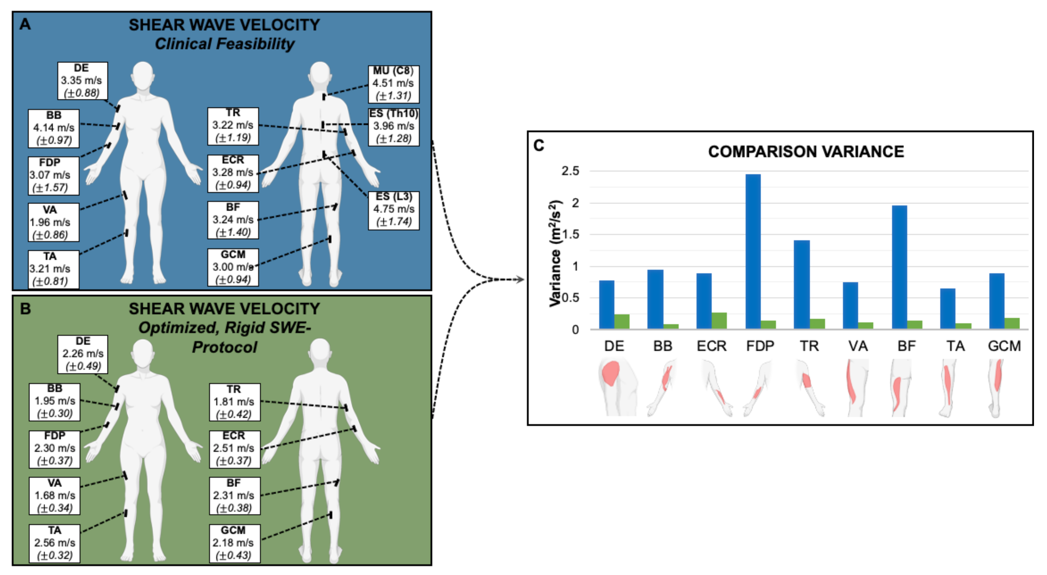 Sensors 21 08490 g001 Sensors 21 08490 g001