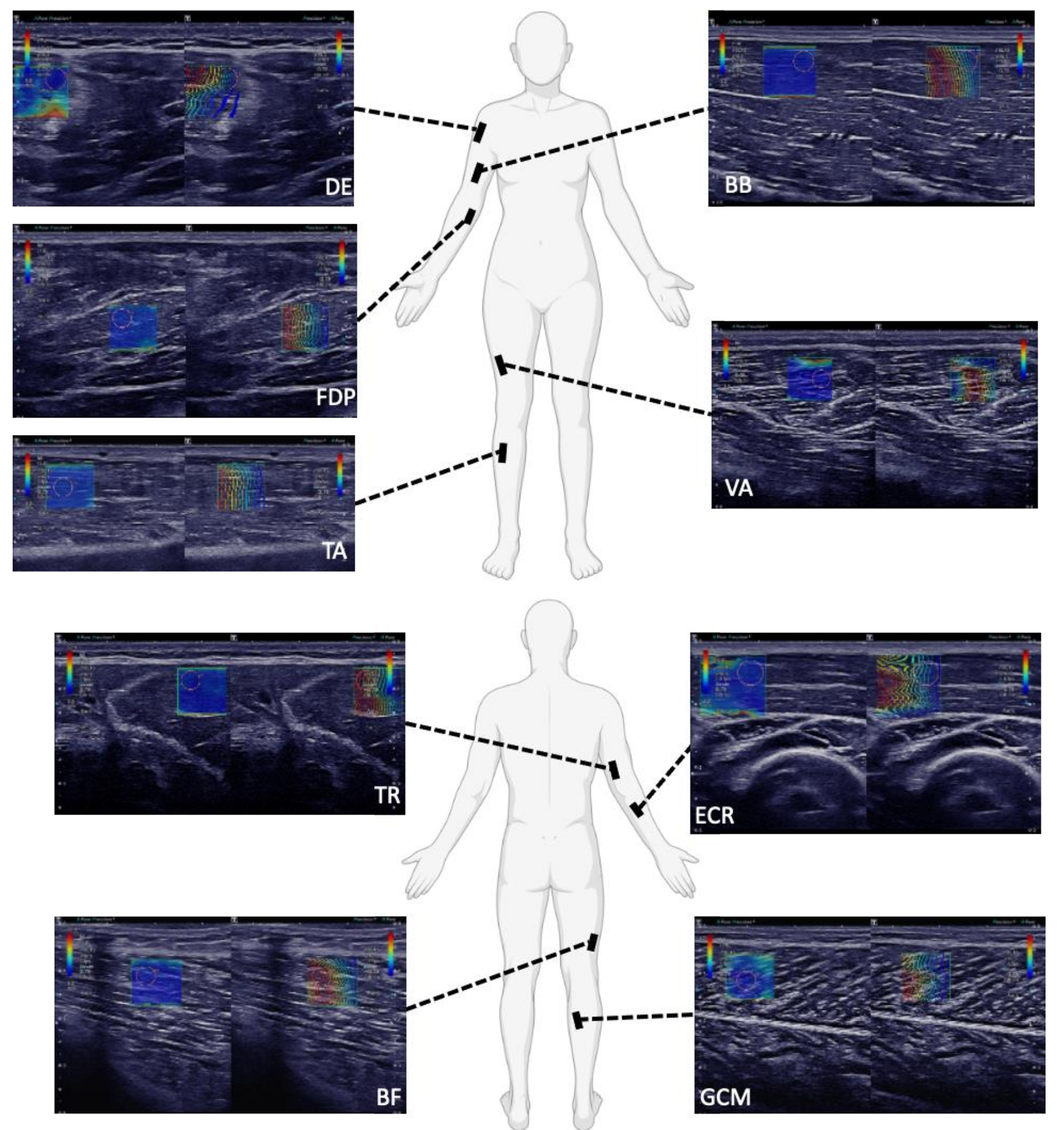 Sensors 21 08490 g0a1 Sensors 21 08490 g0a1
