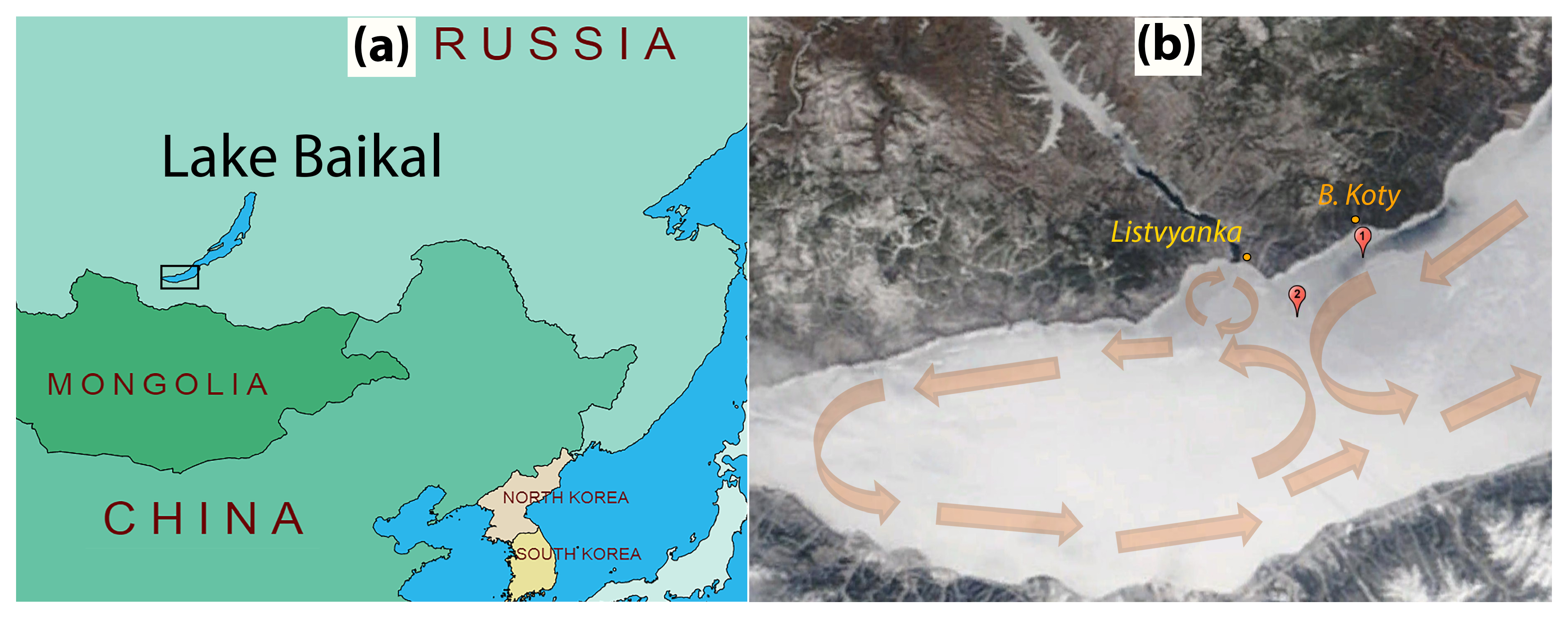 Sensors 21 08505 g007