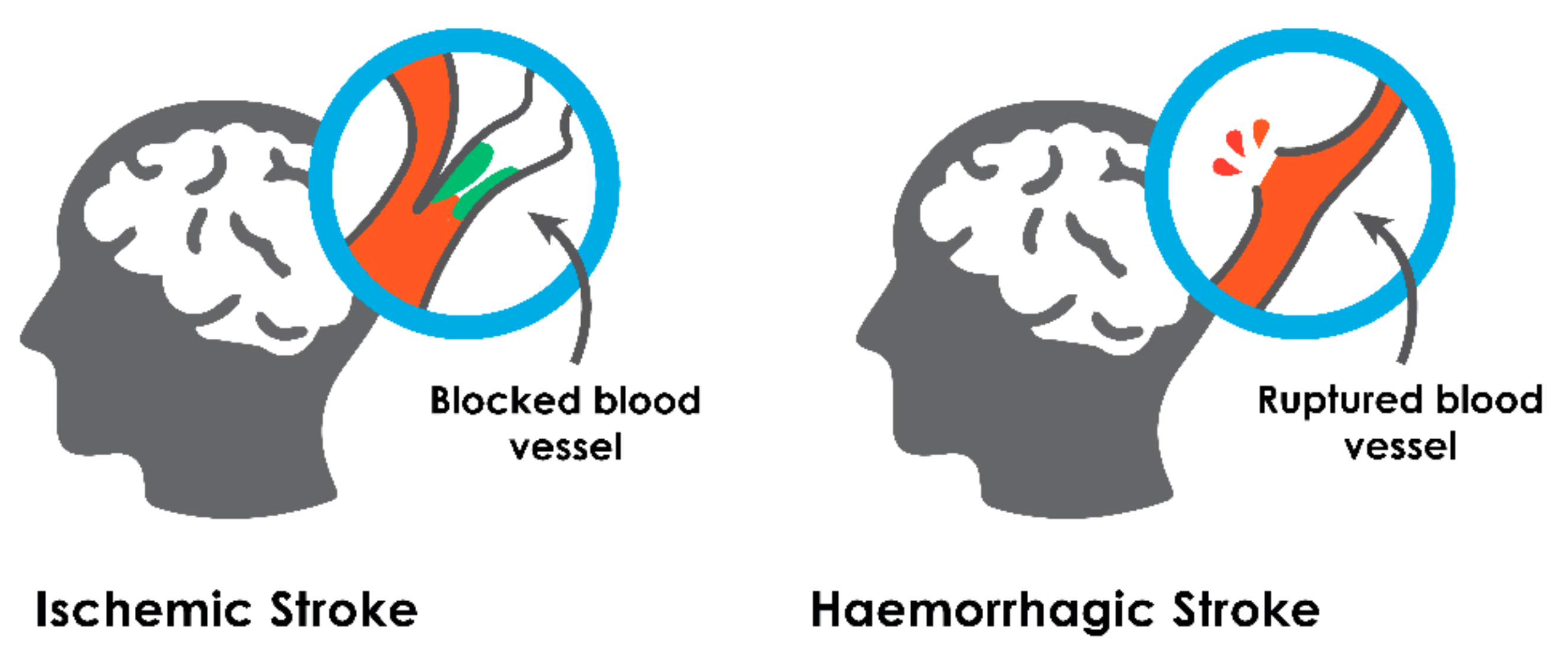 Sensors 21 08507 g001