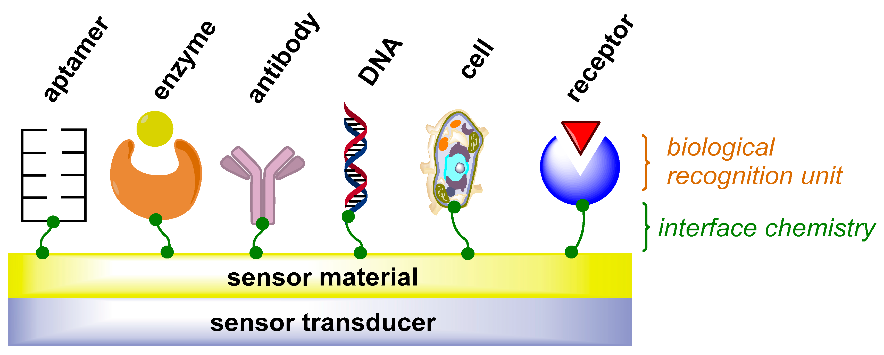 Sensors 22 00004 g001