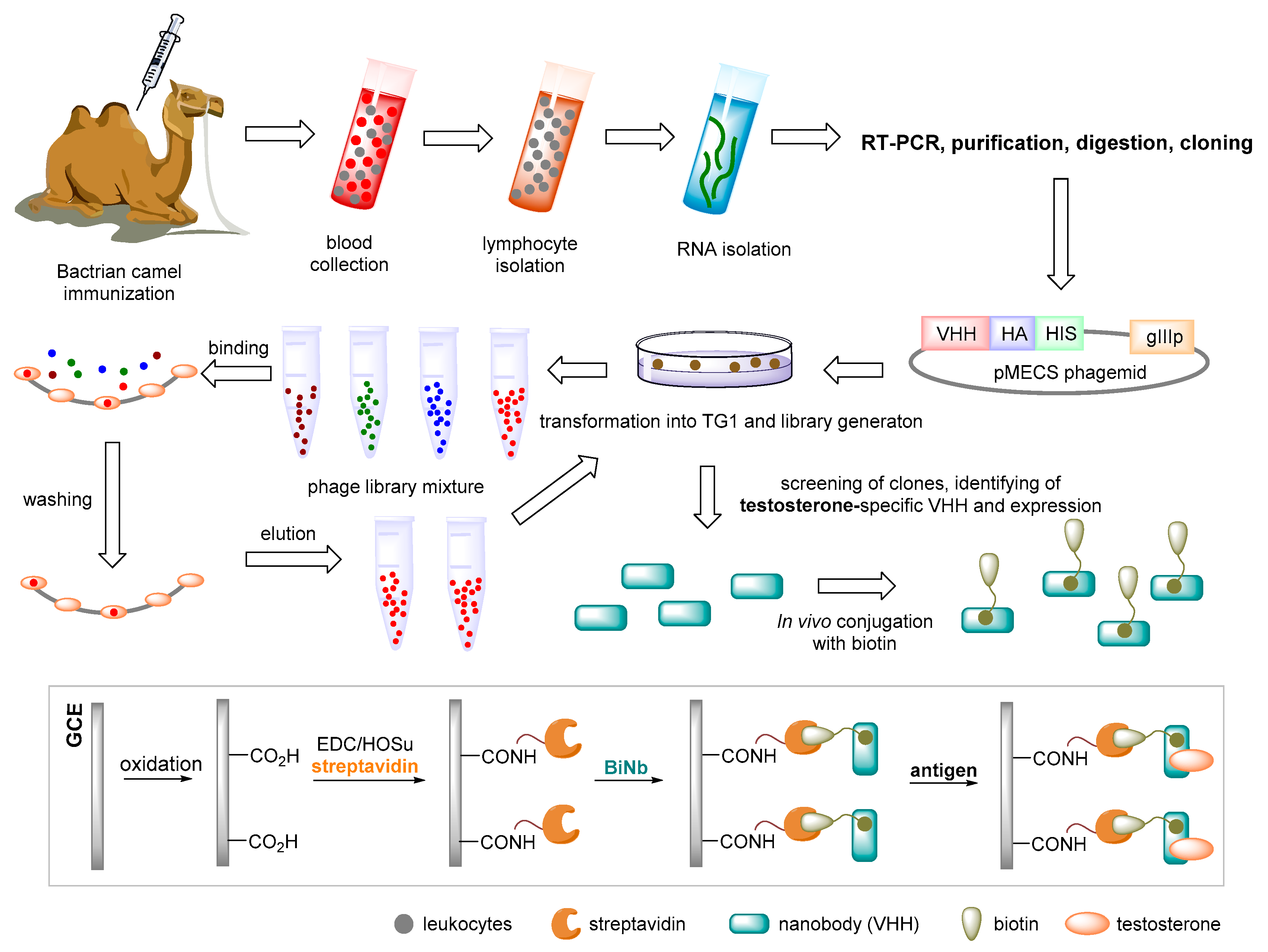 Sensors 22 00004 g005