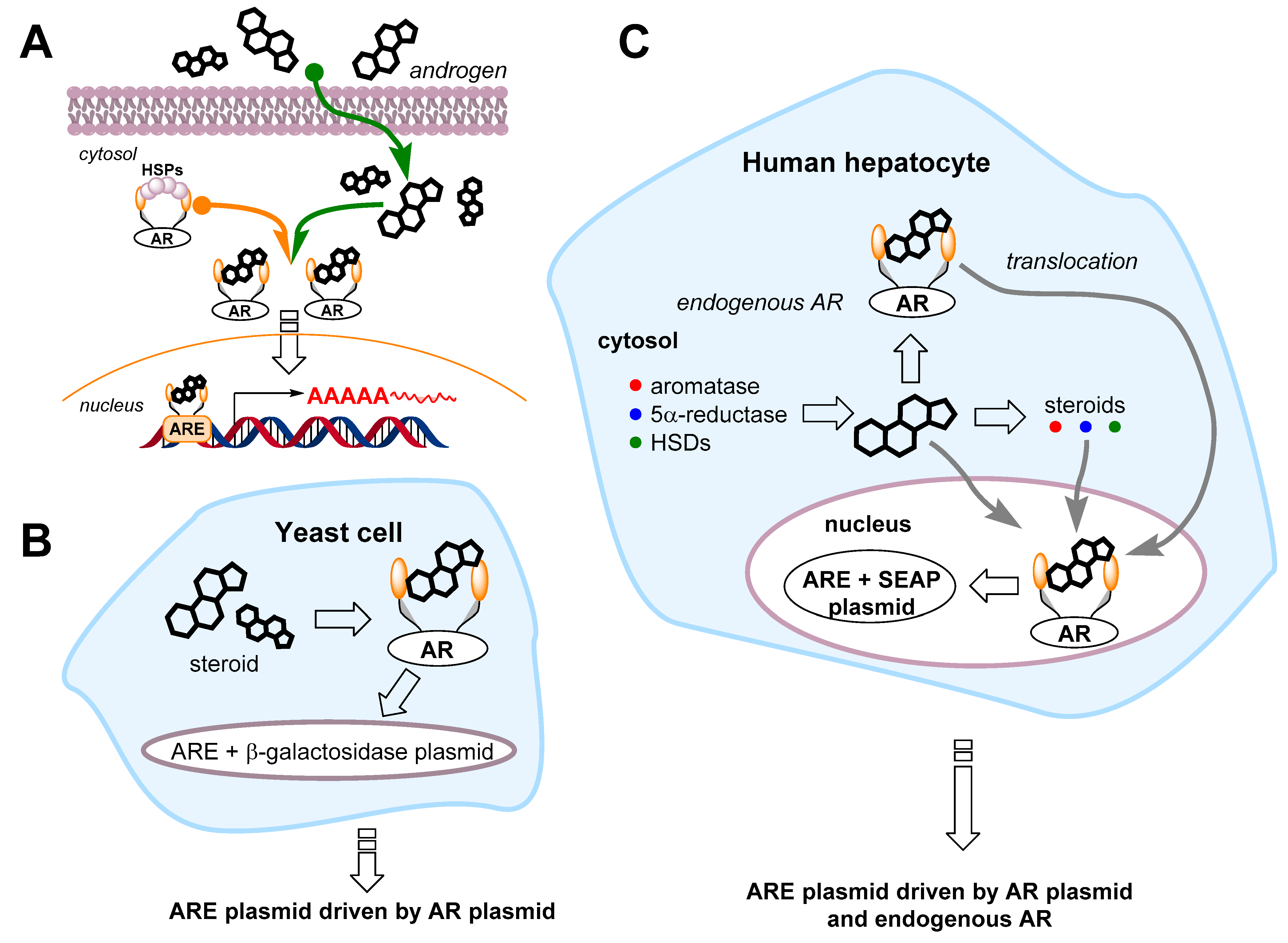 Sensors 22 00004 g007