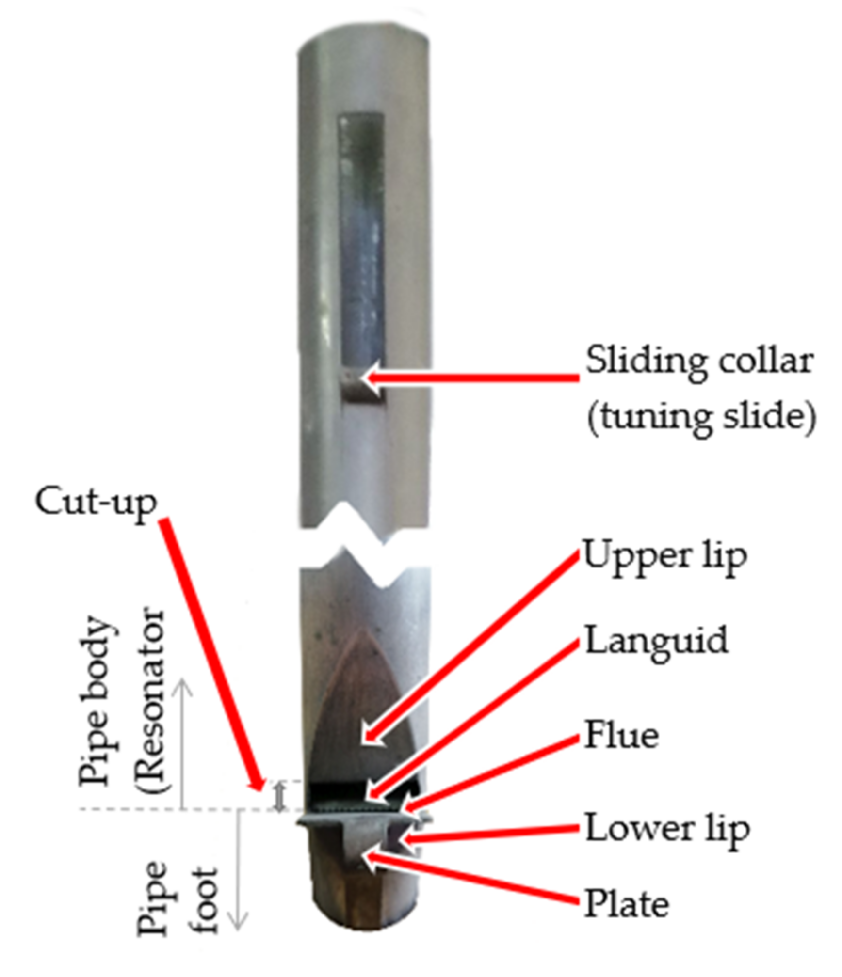 Sensors 22 00010 g005
