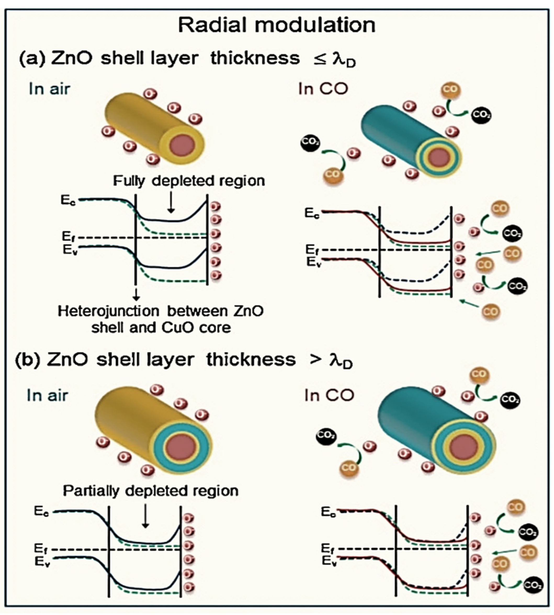 Sensors 22 00061 g004