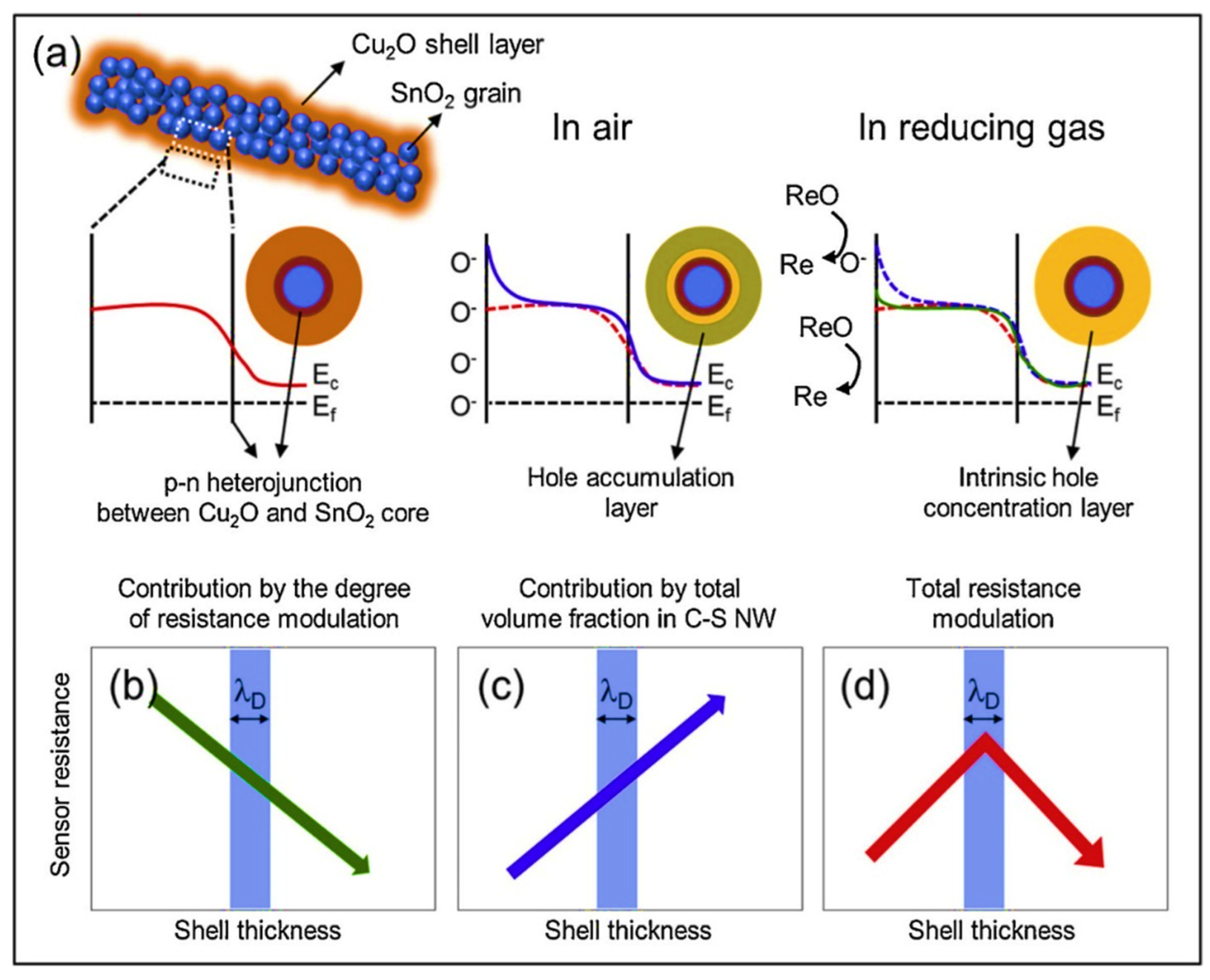 Sensors 22 00061 g005