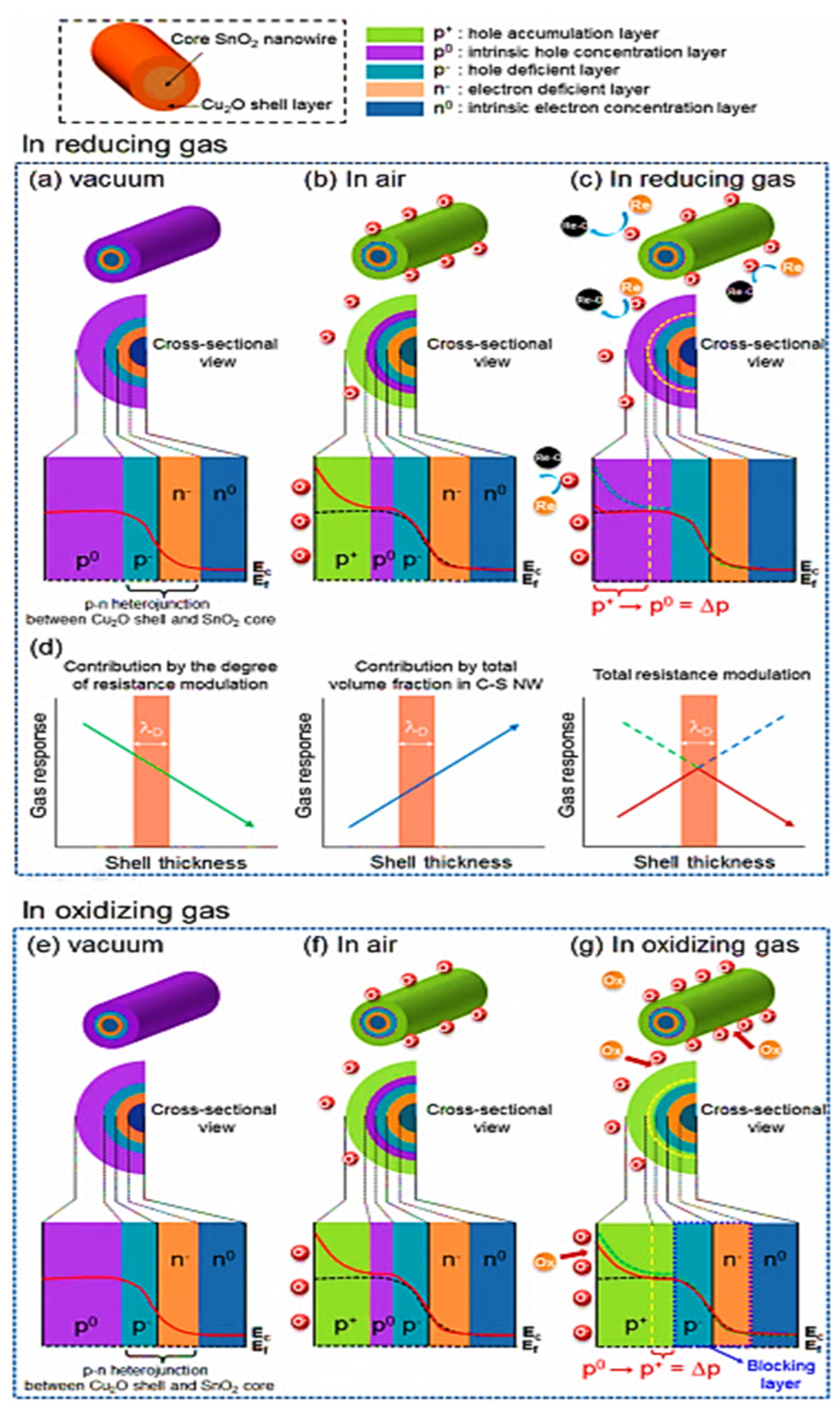 Sensors 22 00061 g008