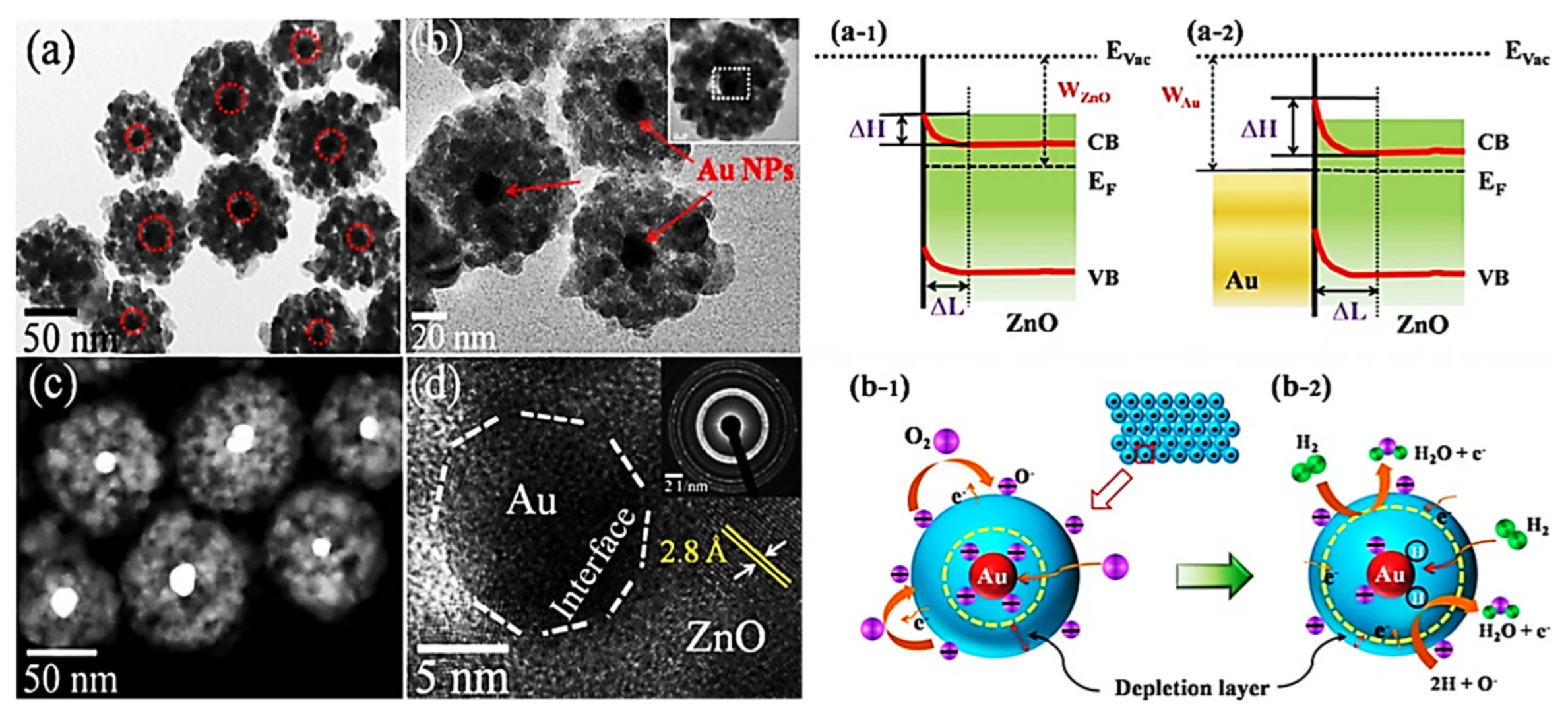 Sensors 22 00061 g013