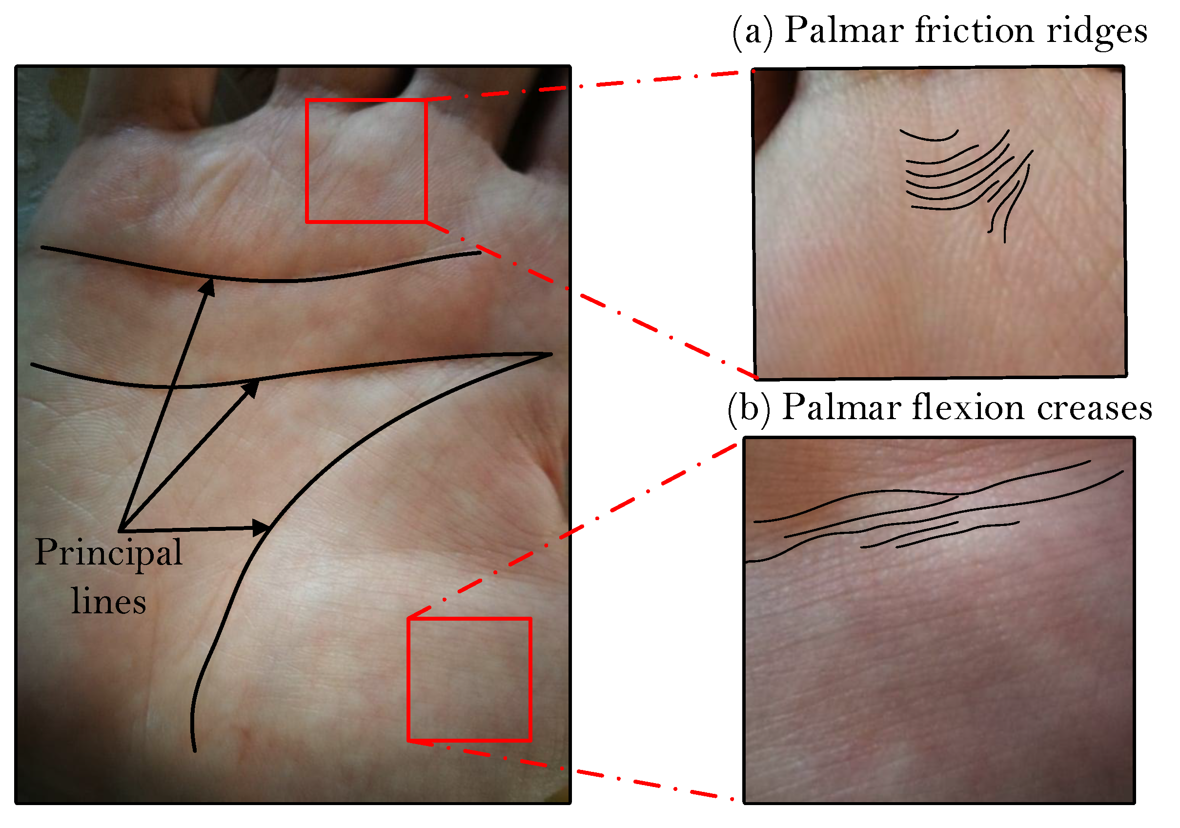 Sensors 22 00073 g001