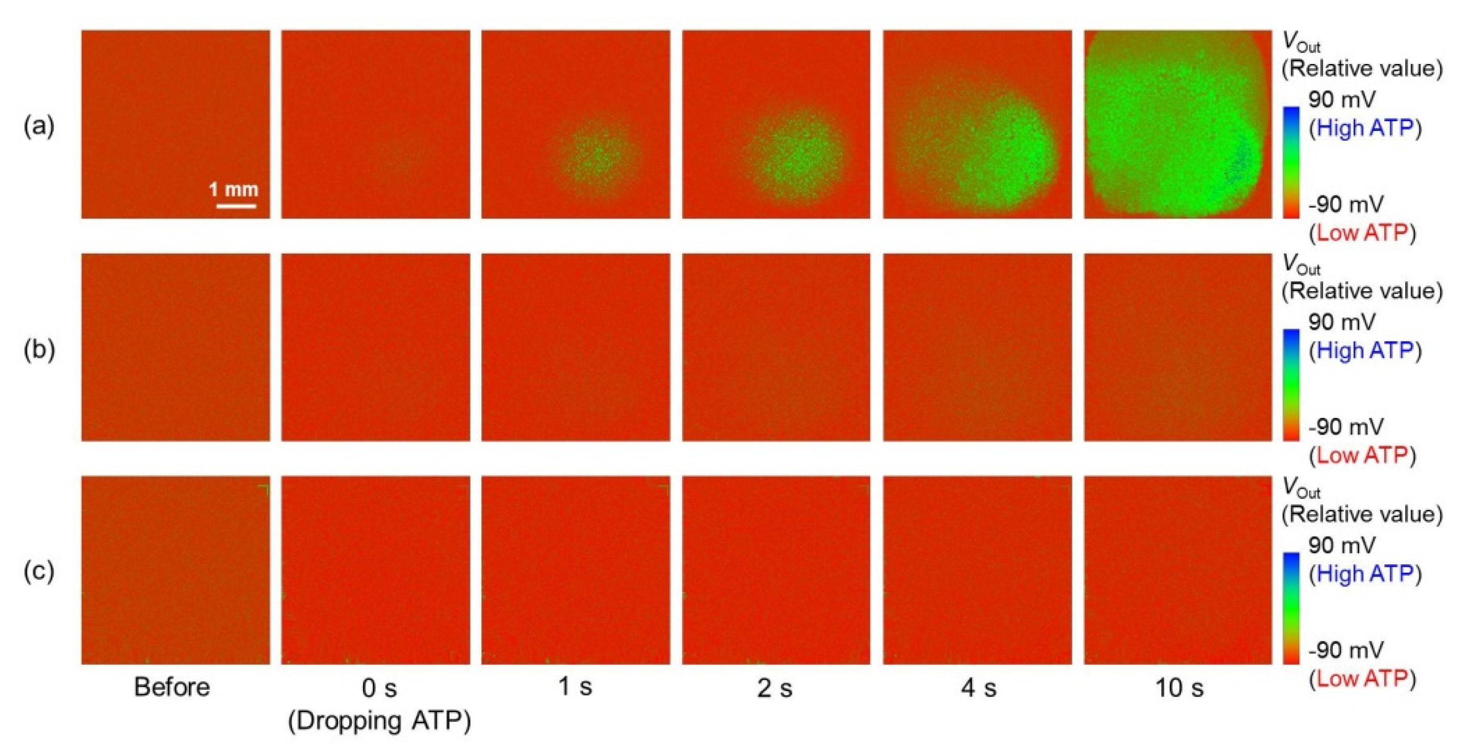 Sensors 22 00075 g006