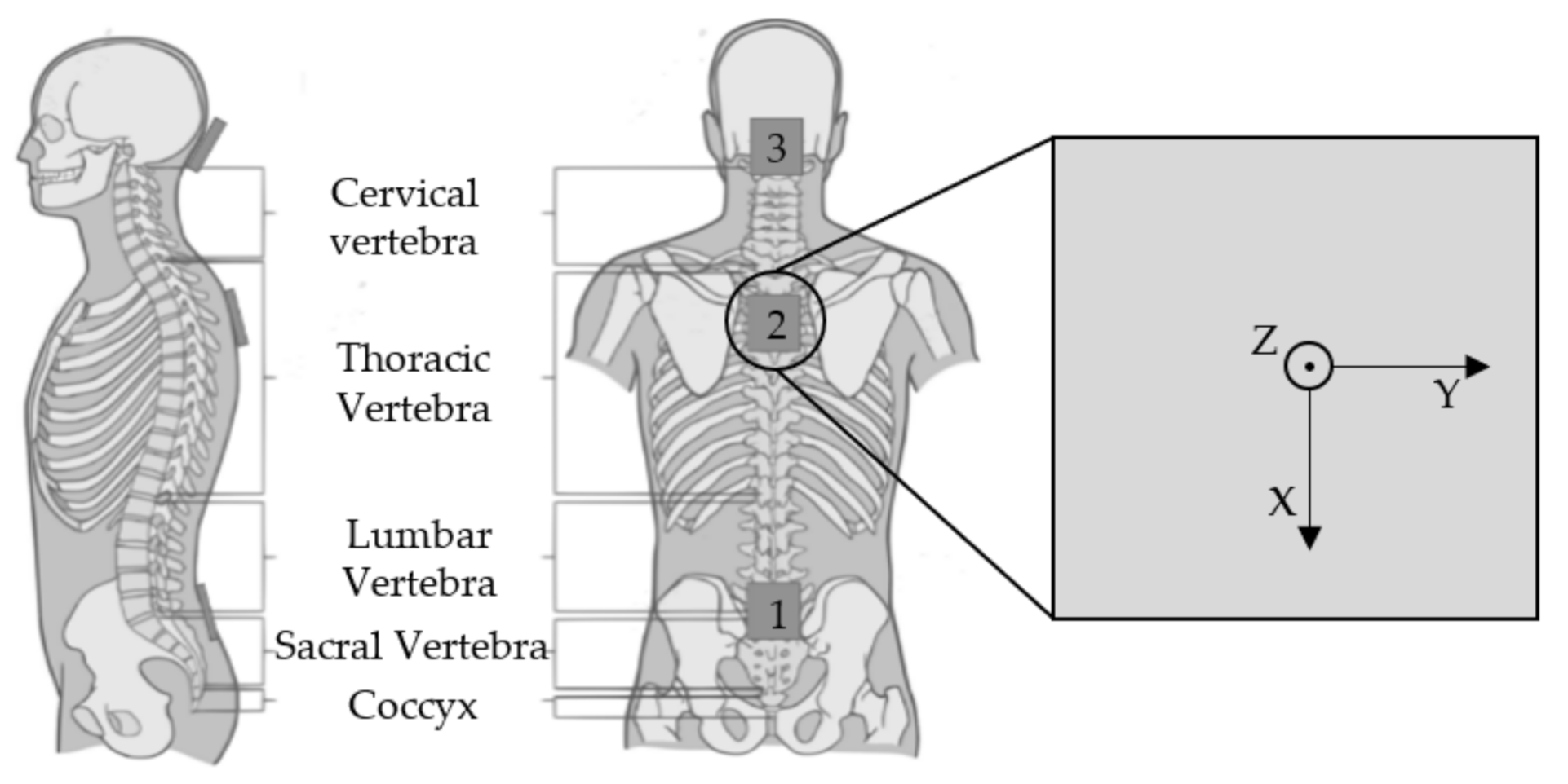 Sensors 22 00111 g001