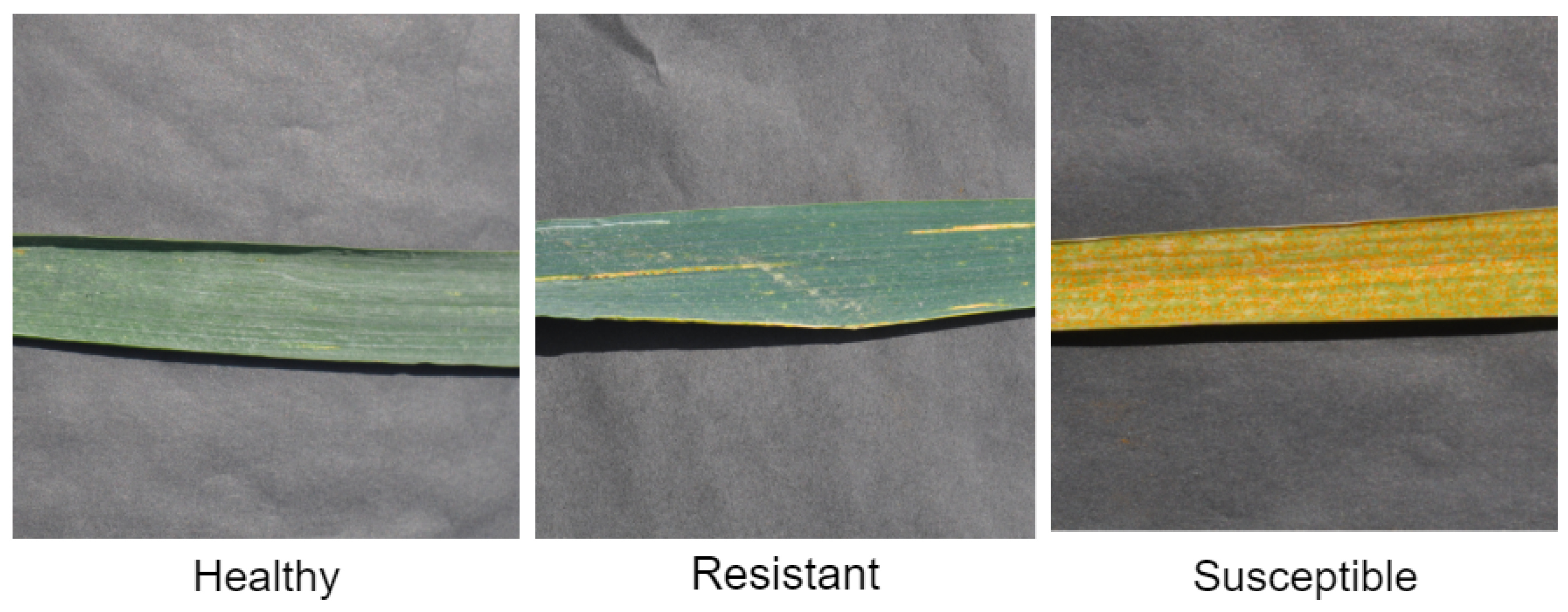 Sensors 22 00146 g003